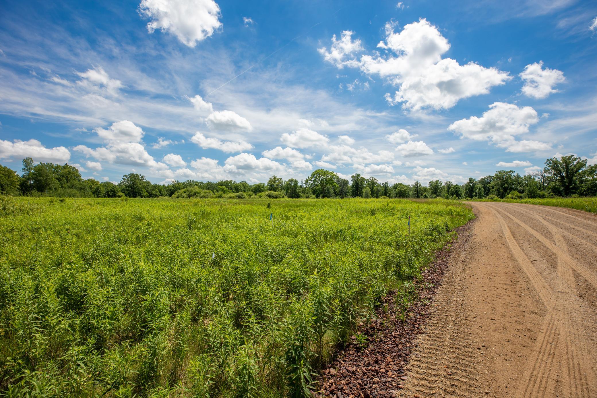 land for sale at Tract E County Road 30 in Aitkin, MN