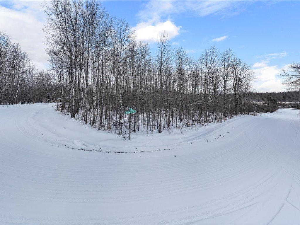 land for sale at TBD Willow River Drive NE in Remer, MN (photo 9 of 14)