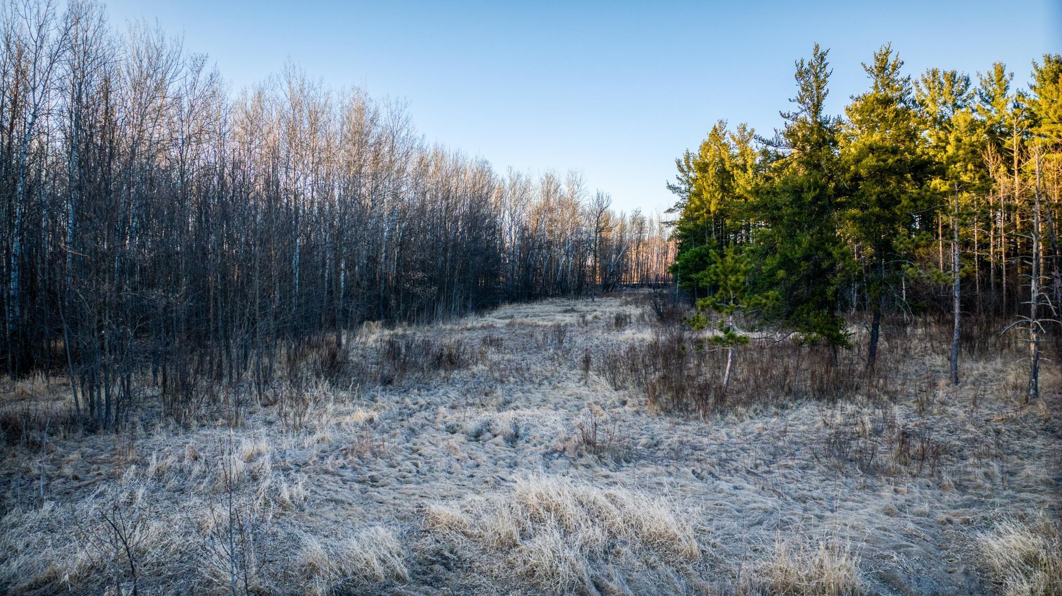 1950 single family home for sale at 37325 US Highway 169 in Aitkin, MN — 2 bed, 1 bath (photo 28 of 52)