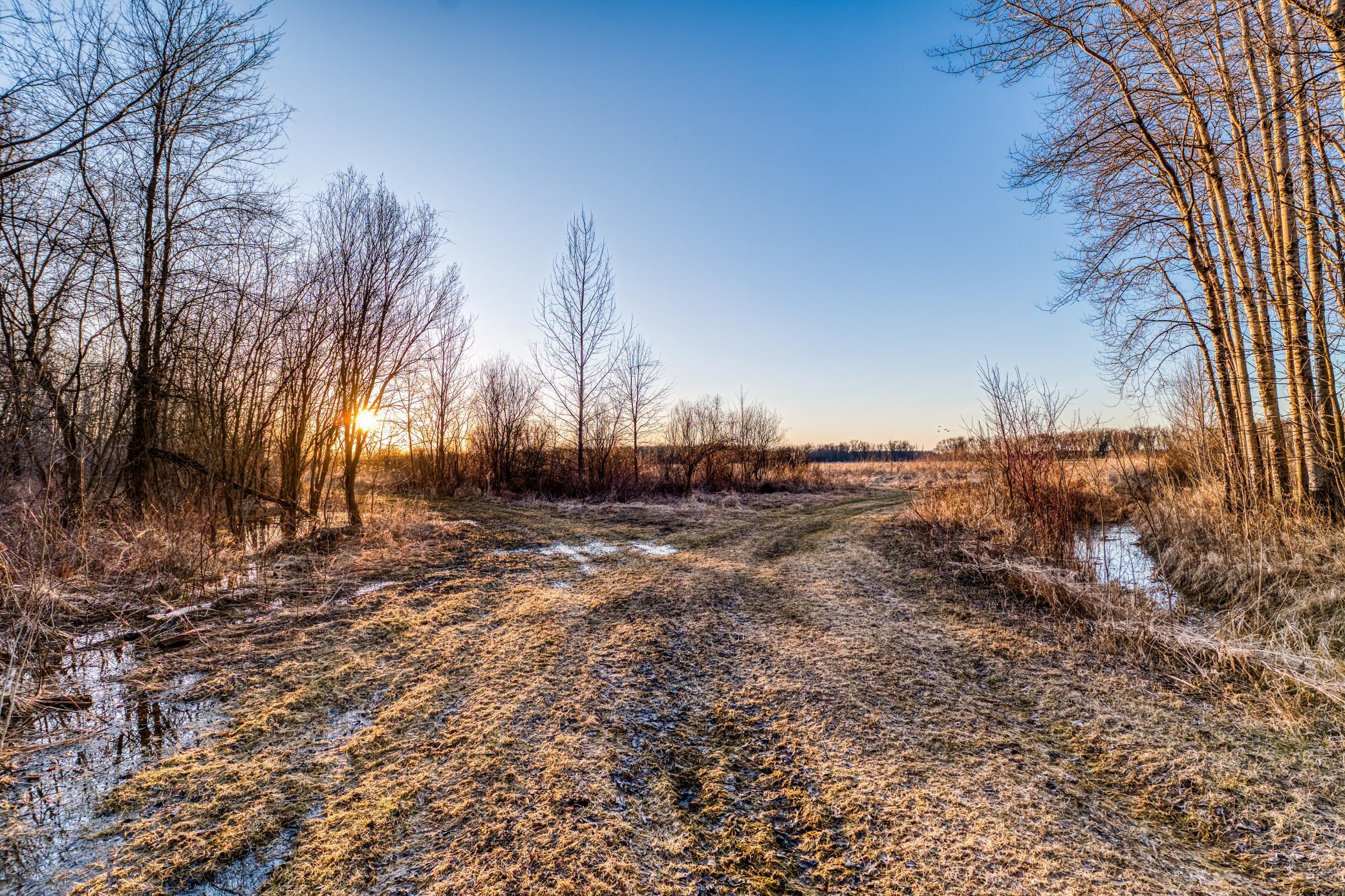 1950 single family home for sale at 37325 US Highway 169 in Aitkin, MN — 2 bed, 1 bath (photo 45 of 52)