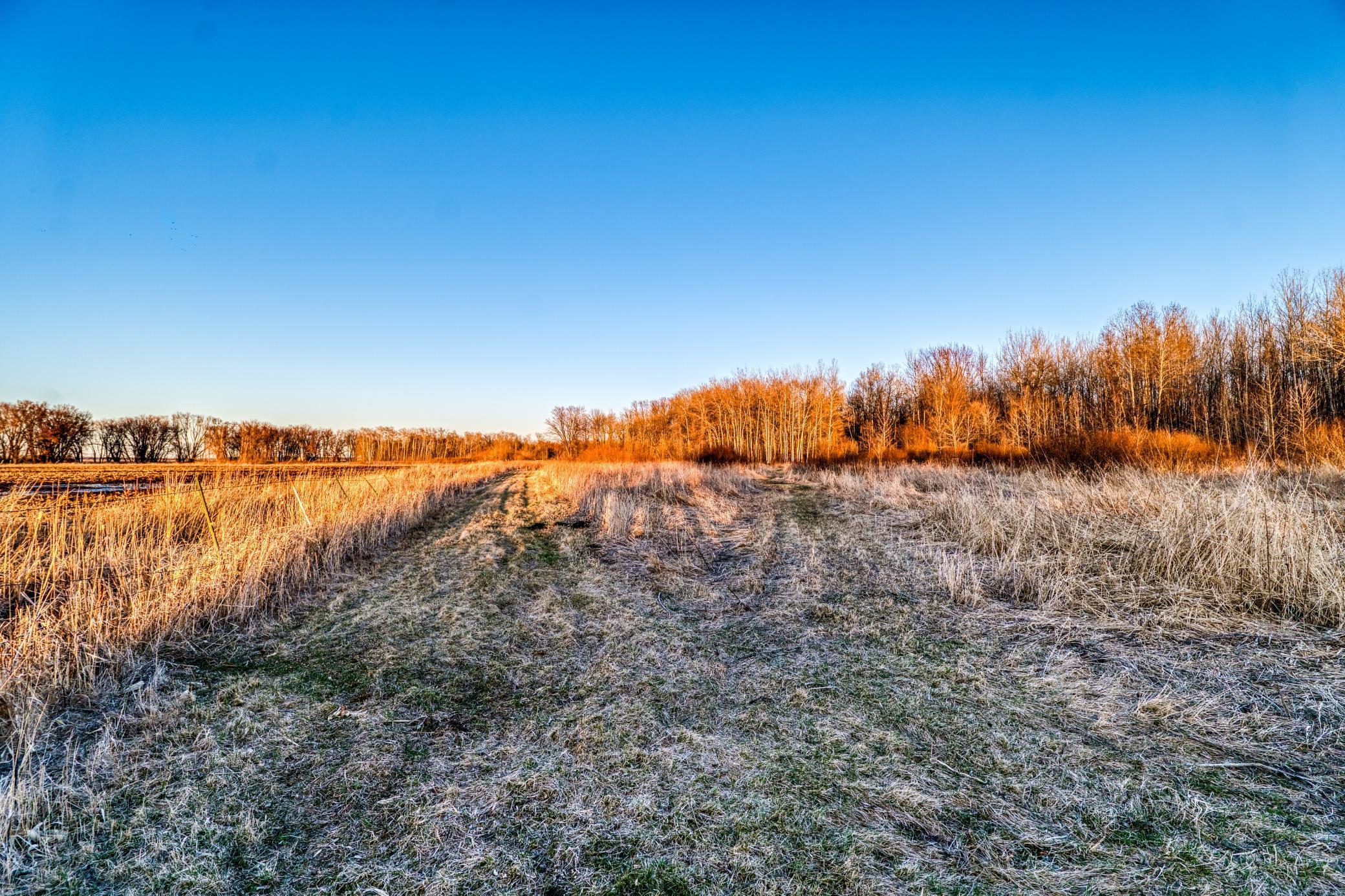 1950 single family home for sale at 37325 US Highway 169 in Aitkin, MN — 2 bed, 1 bath (photo 48 of 52)