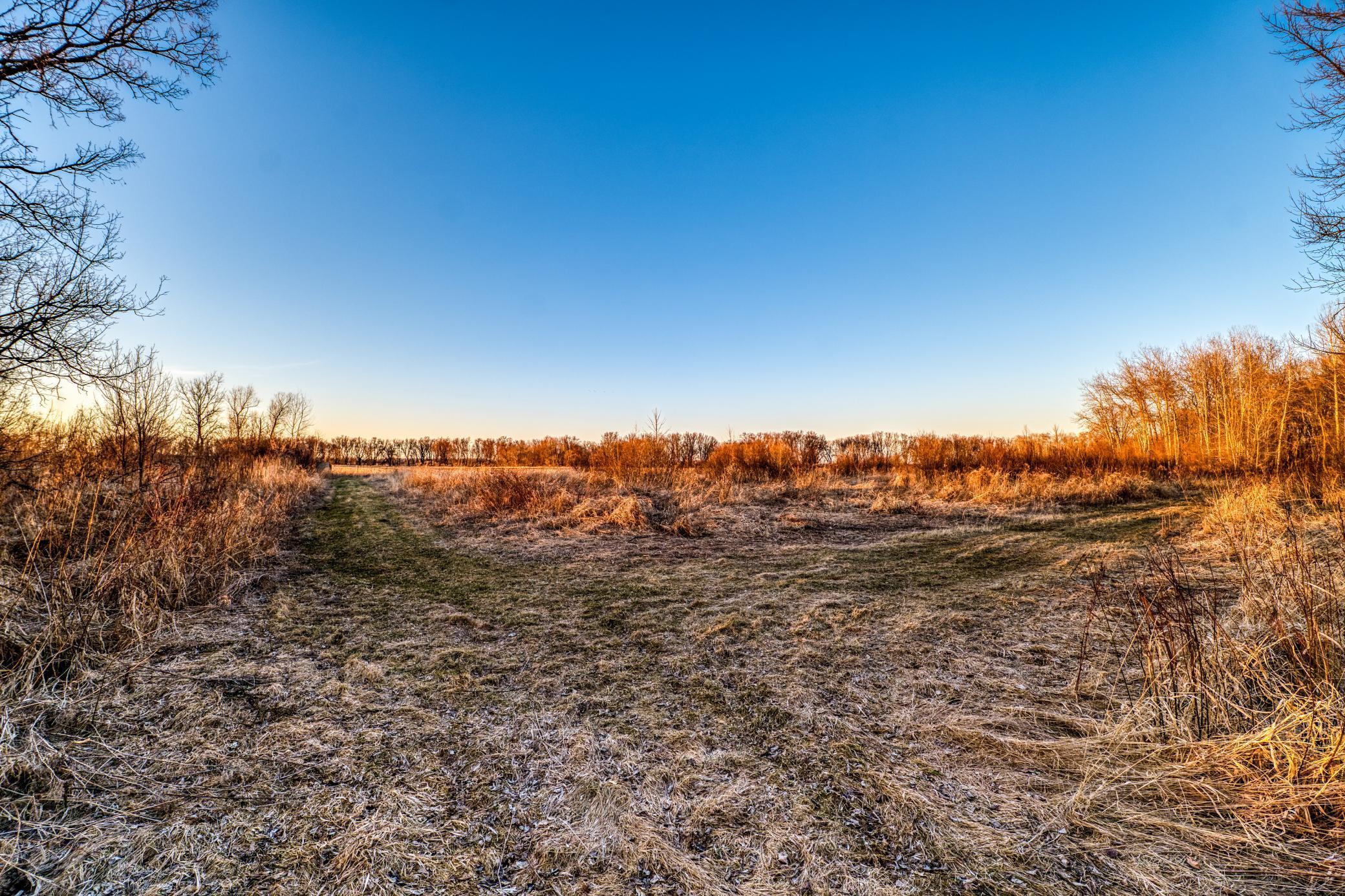 1950 single family home for sale at 37325 US Highway 169 in Aitkin, MN — 2 bed, 1 bath (photo 50 of 52)
