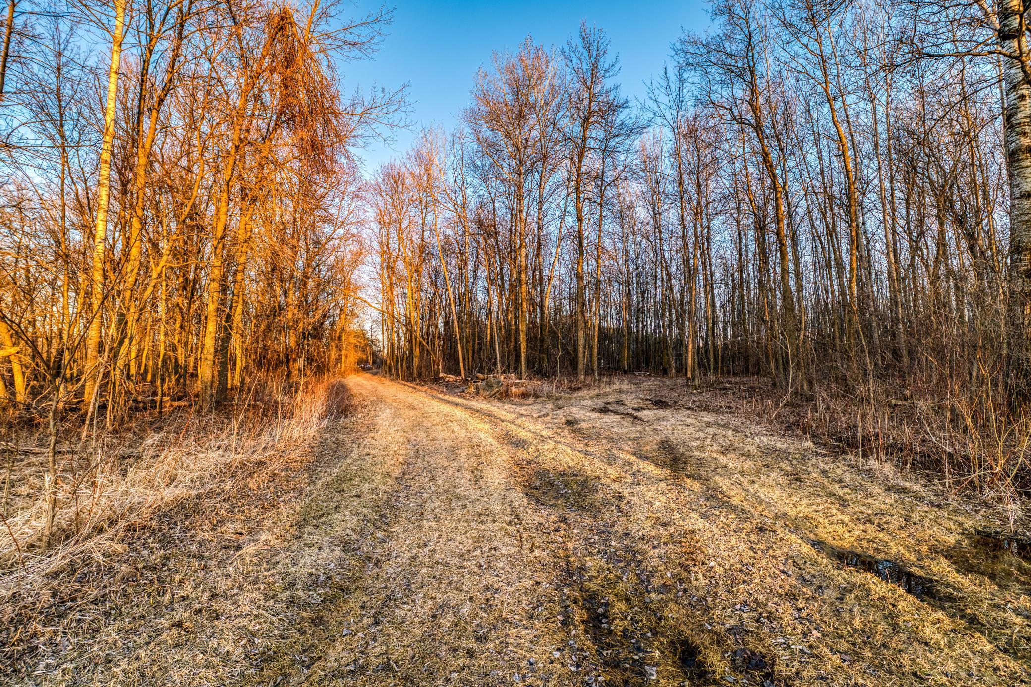 1950 single family home for sale at 37325 US Highway 169 in Aitkin, MN — 2 bed, 1 bath (photo 51 of 52)
