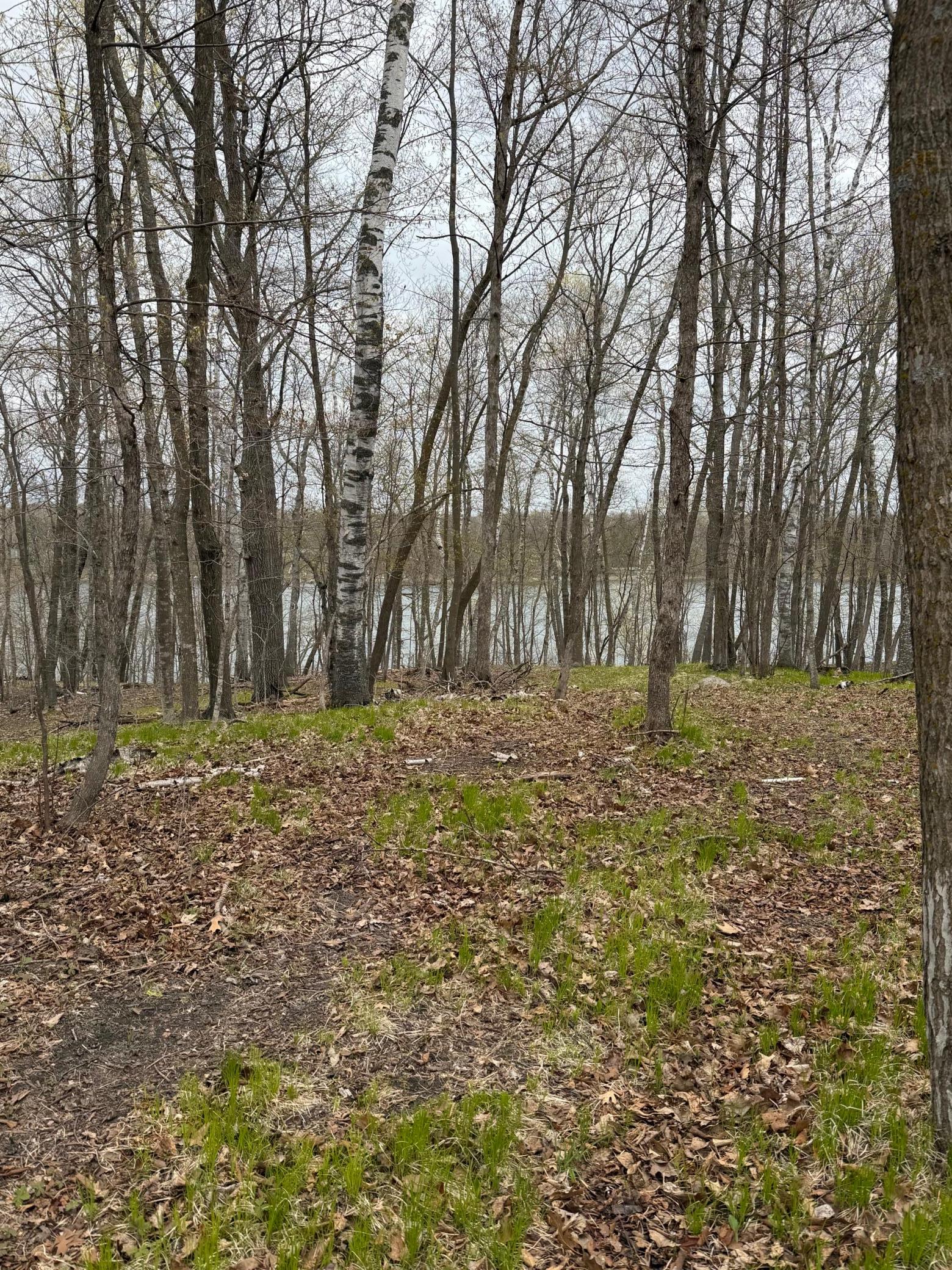 land for sale at LOT 7 SW Pickerel Lake Road in Detroit Lakes, MN (photo 3 of 11)
