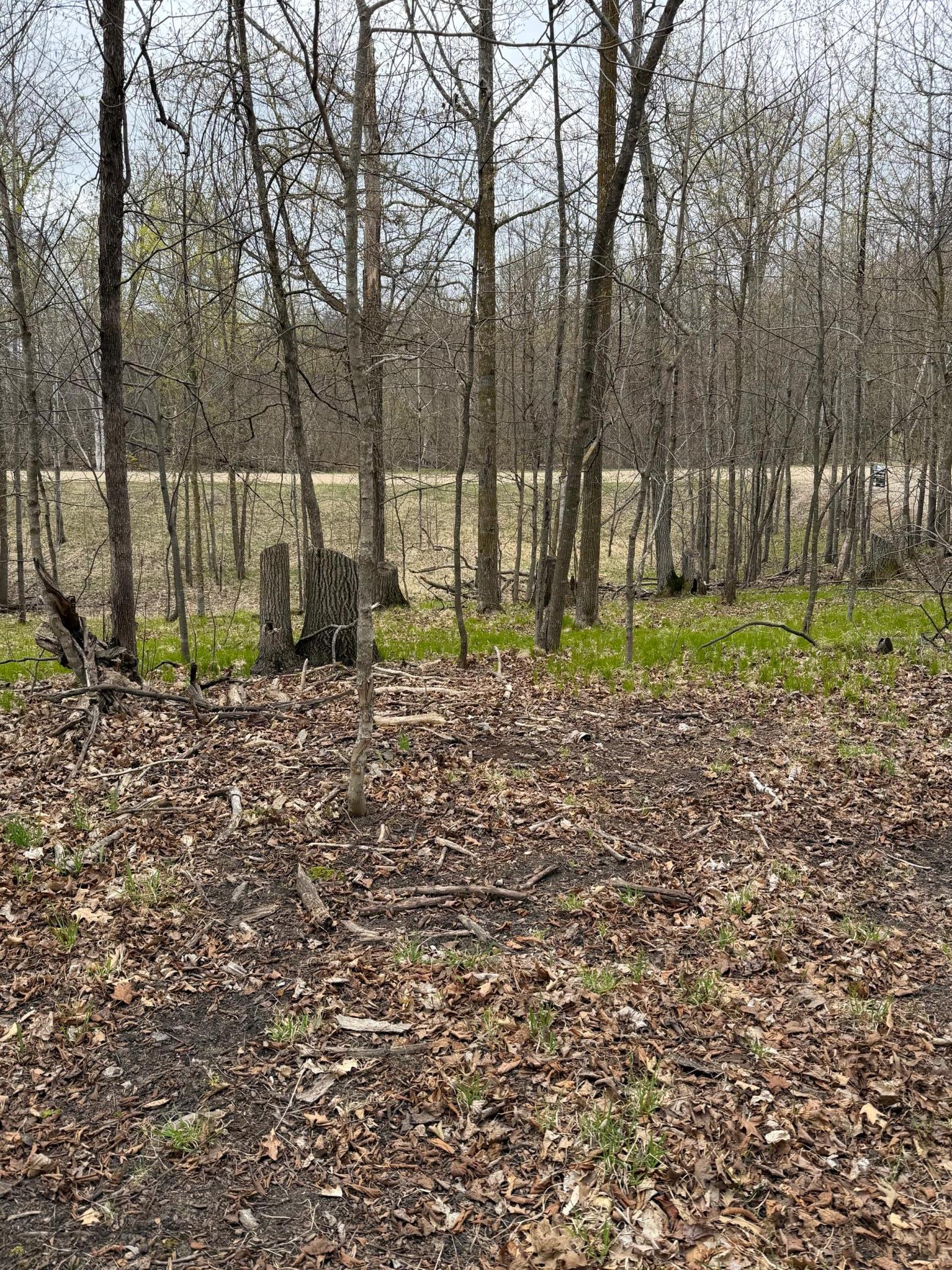 land for sale at LOT 7 SW Pickerel Lake Road in Detroit Lakes, MN (photo 4 of 11)