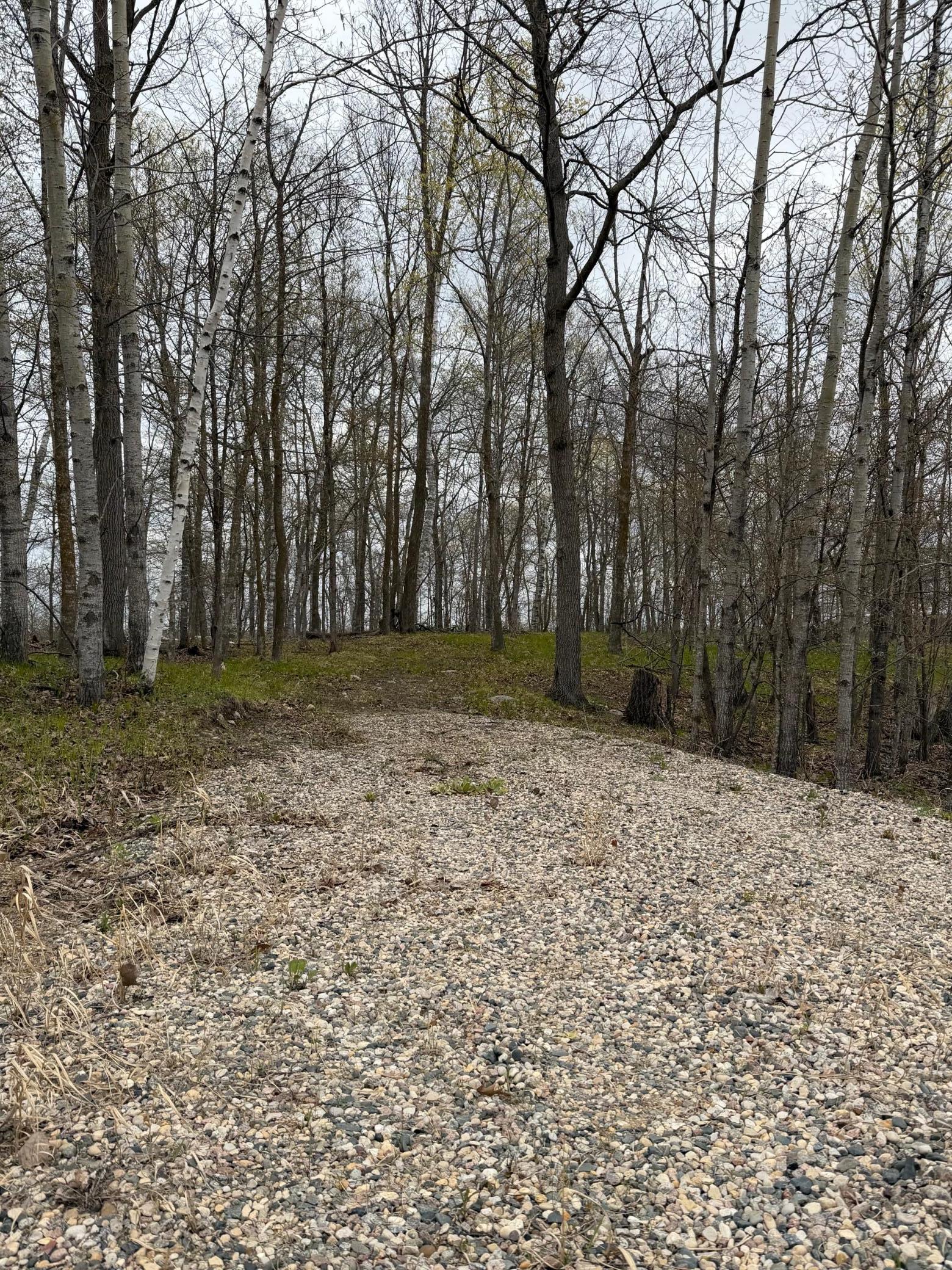 land for sale at LOT 7 SW Pickerel Lake Road in Detroit Lakes, MN (photo 5 of 11)