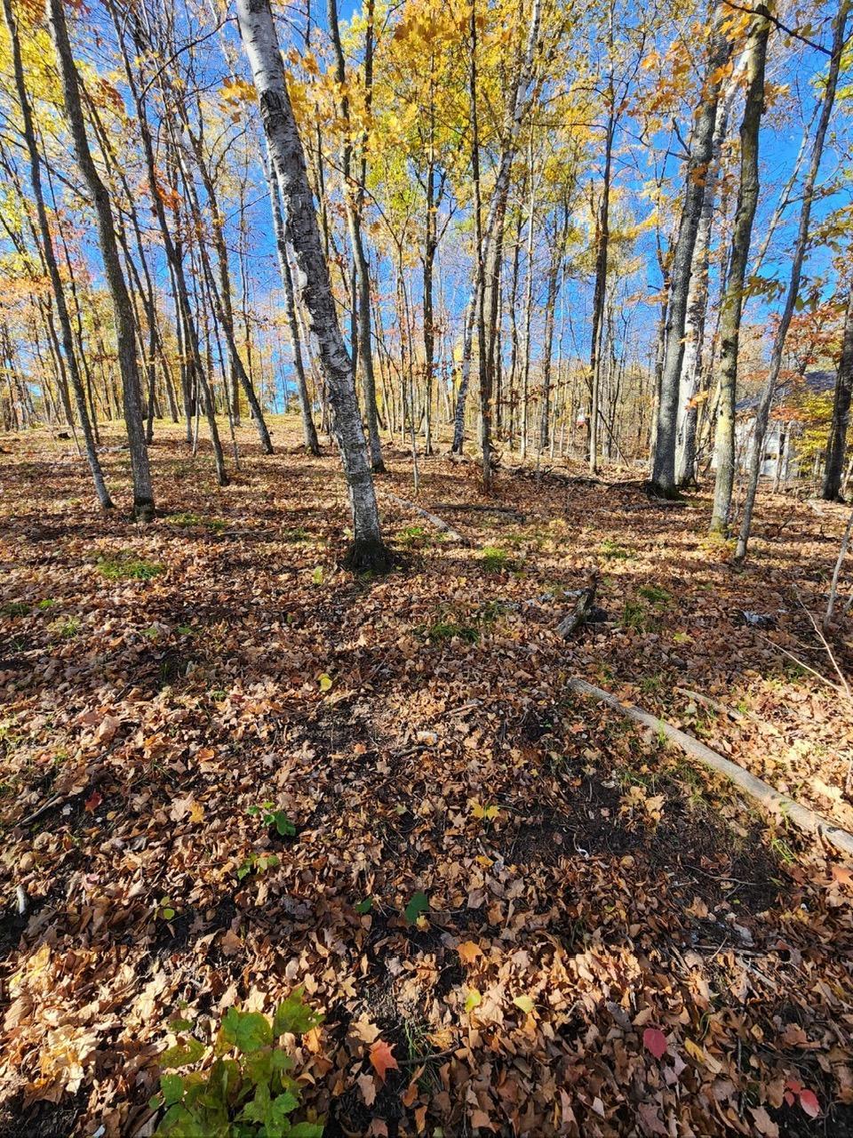 land for sale at LOT 7 SW Pickerel Lake Road in Detroit Lakes, MN (photo 8 of 11)