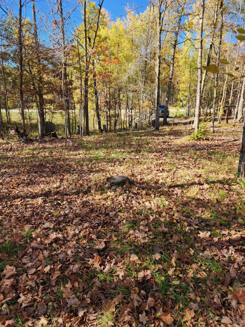 land for sale at LOT 7 SW Pickerel Lake Road in Detroit Lakes, MN (photo 9 of 11)