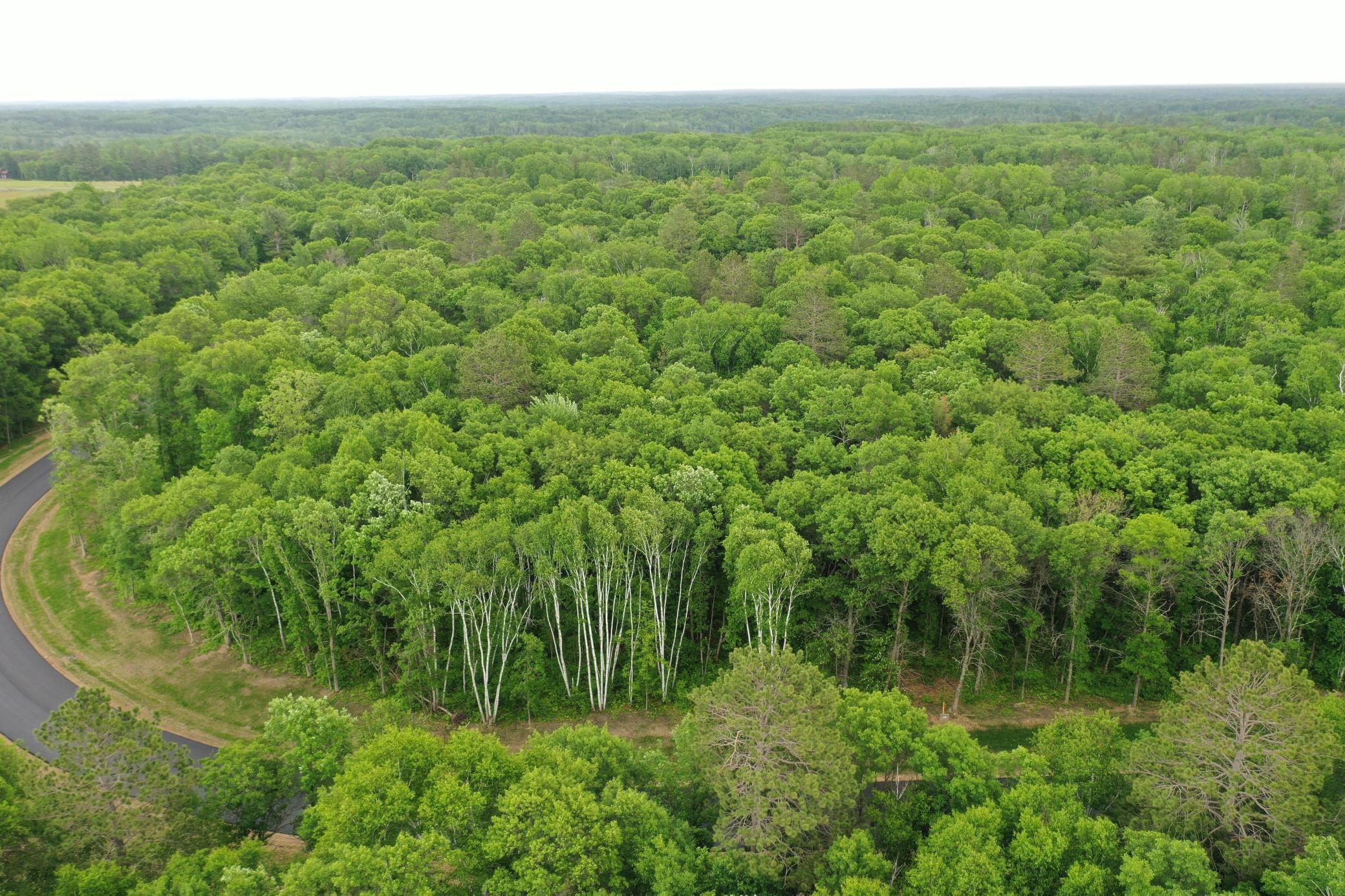 land for sale at XX12 TBD My Abbys Way Lane SW in Pequot Lakes, MN (photo 7 of 9)