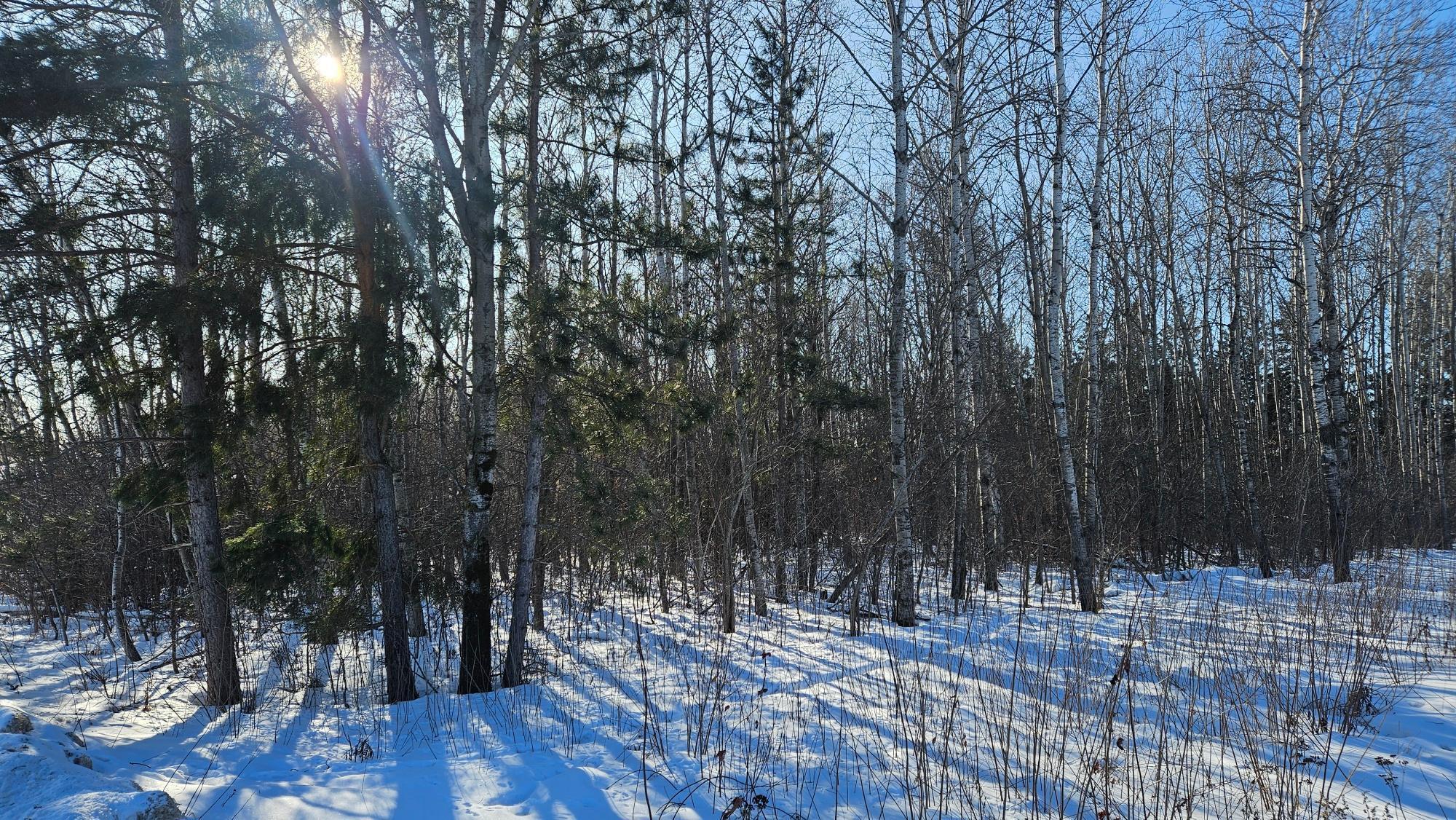 TBD Oak Street, Brainerd MN 56401 - Photo 4 of 12