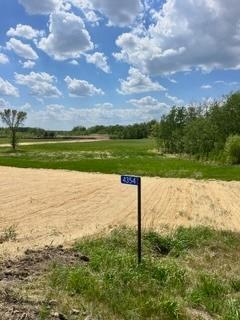 land for sale at XXXX Country Rd 82 SE in Alexandria, MN (photo 4 of 4)