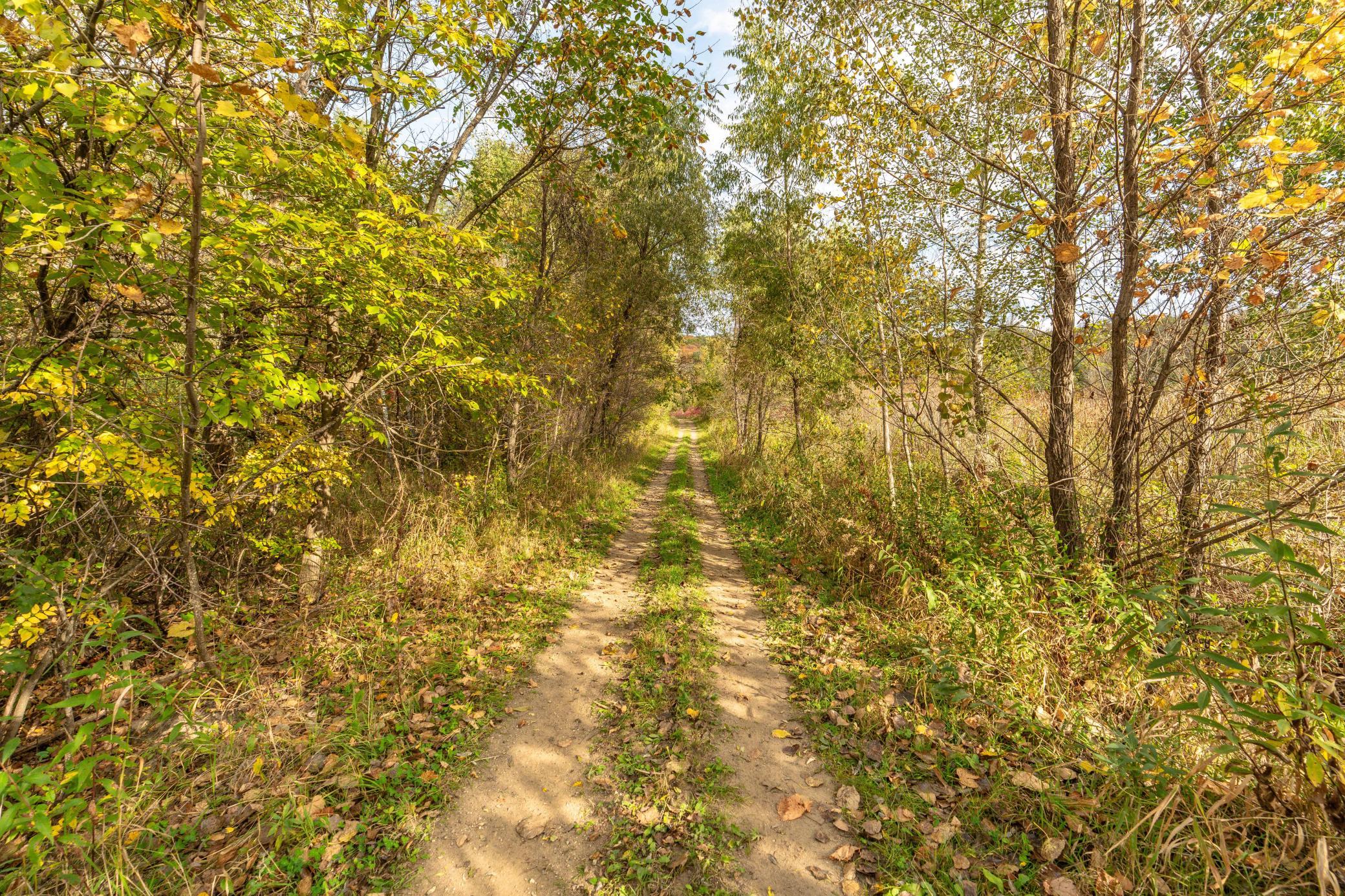 33003 County Hwy 27, Erhard MN 56534 - Photo 89 of 92