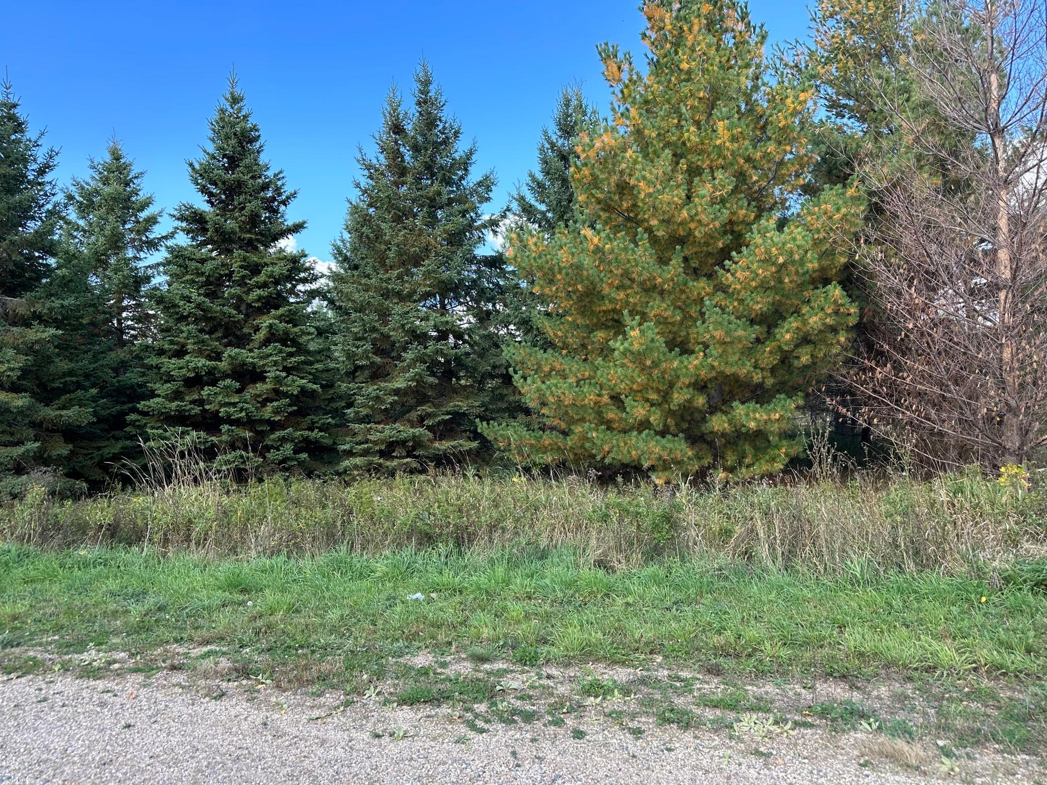 land for sale at 26793 Lidstrom Road in Detroit Lakes, MN