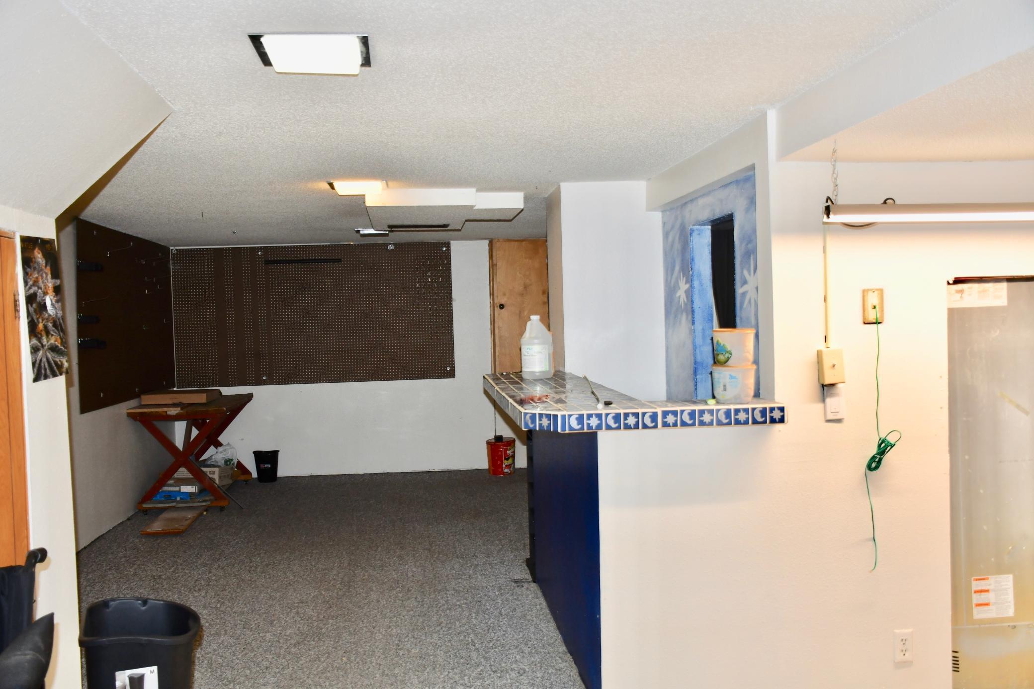 1940 single family home for sale at 216 6th Street W in Thief River Falls, MN — 4 bed, 3 bath (photo 32 of 45)