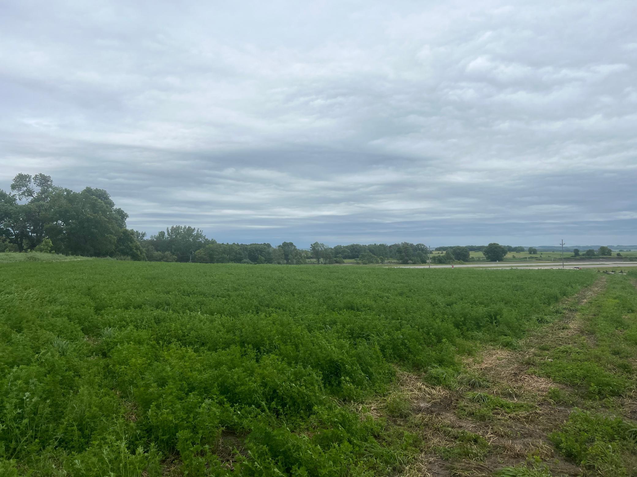 land for sale at 17132 Boyer Lake Rd in Lake Park, MN (photo 14 of 18)