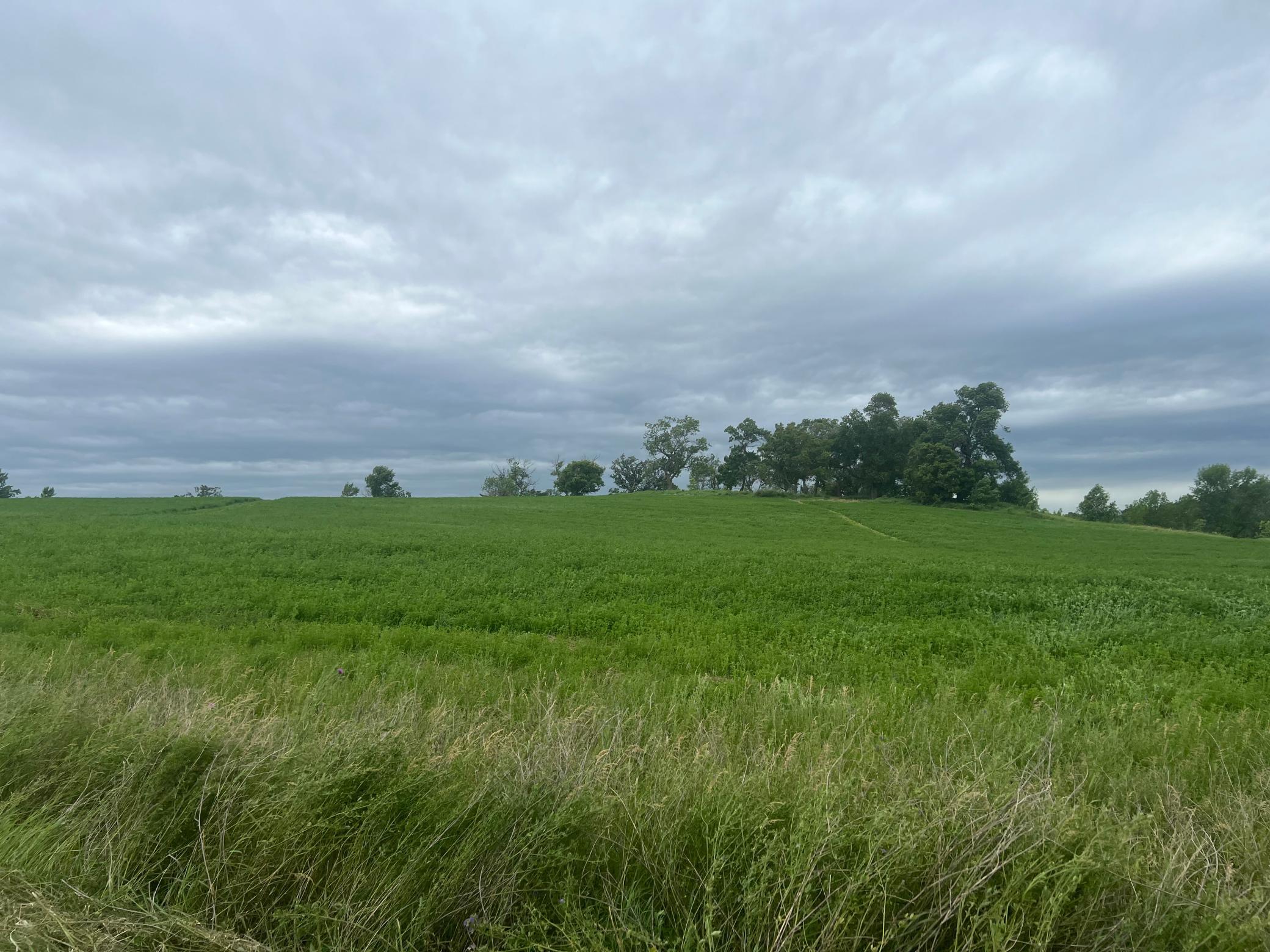 land for sale at 17132 Boyer Lake Rd in Lake Park, MN (photo 15 of 18)
