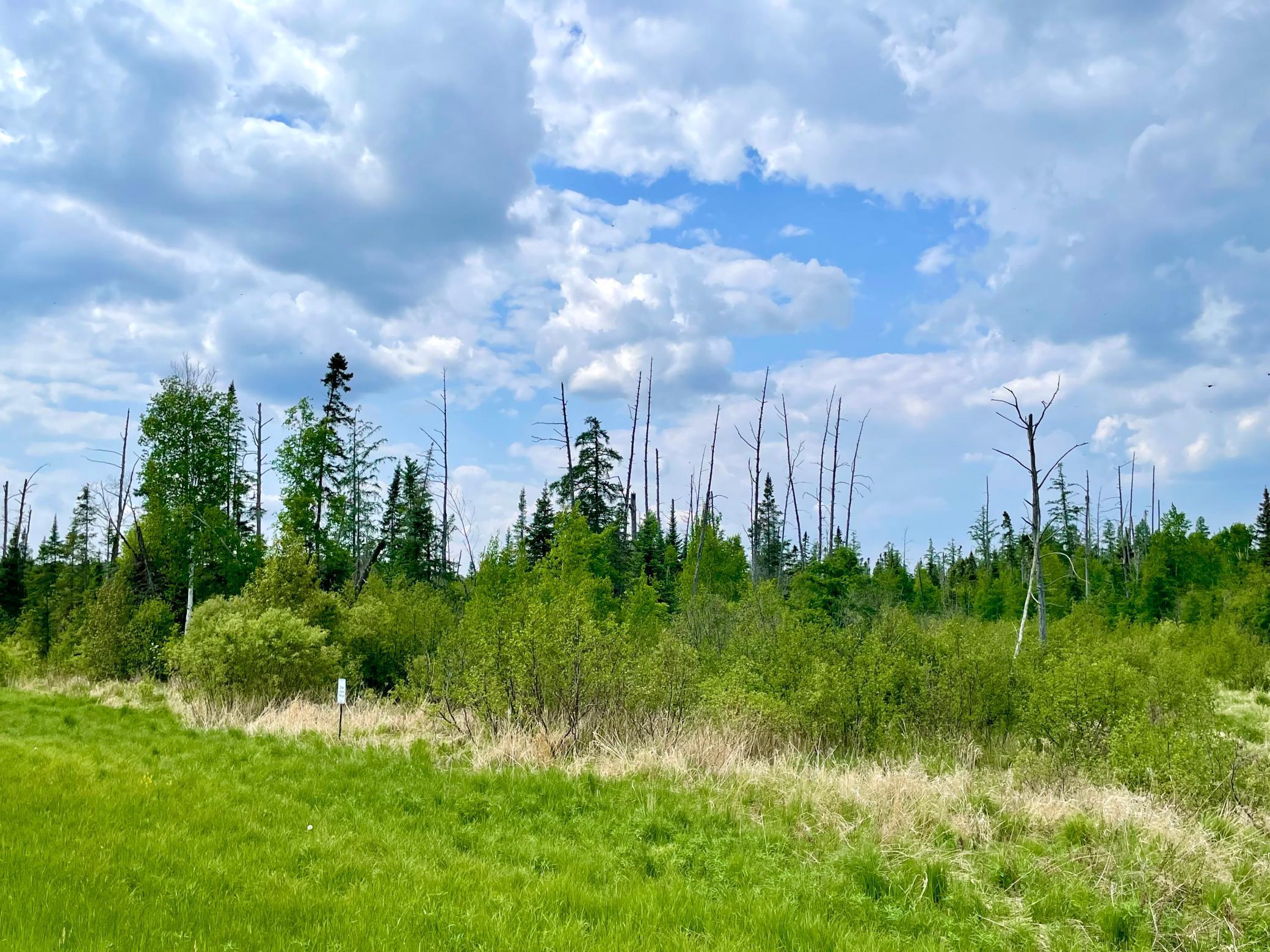 land for sale at TBD N Plantangenet Road SE in Bemidji, MN (photo 2 of 35)