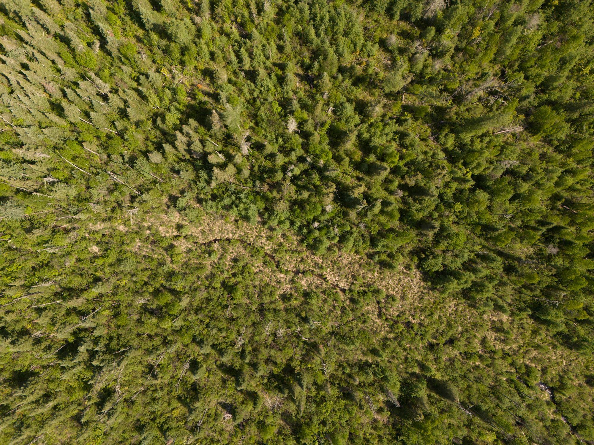 land for sale at TBD N Plantangenet Road SE in Bemidji, MN (photo 11 of 35)