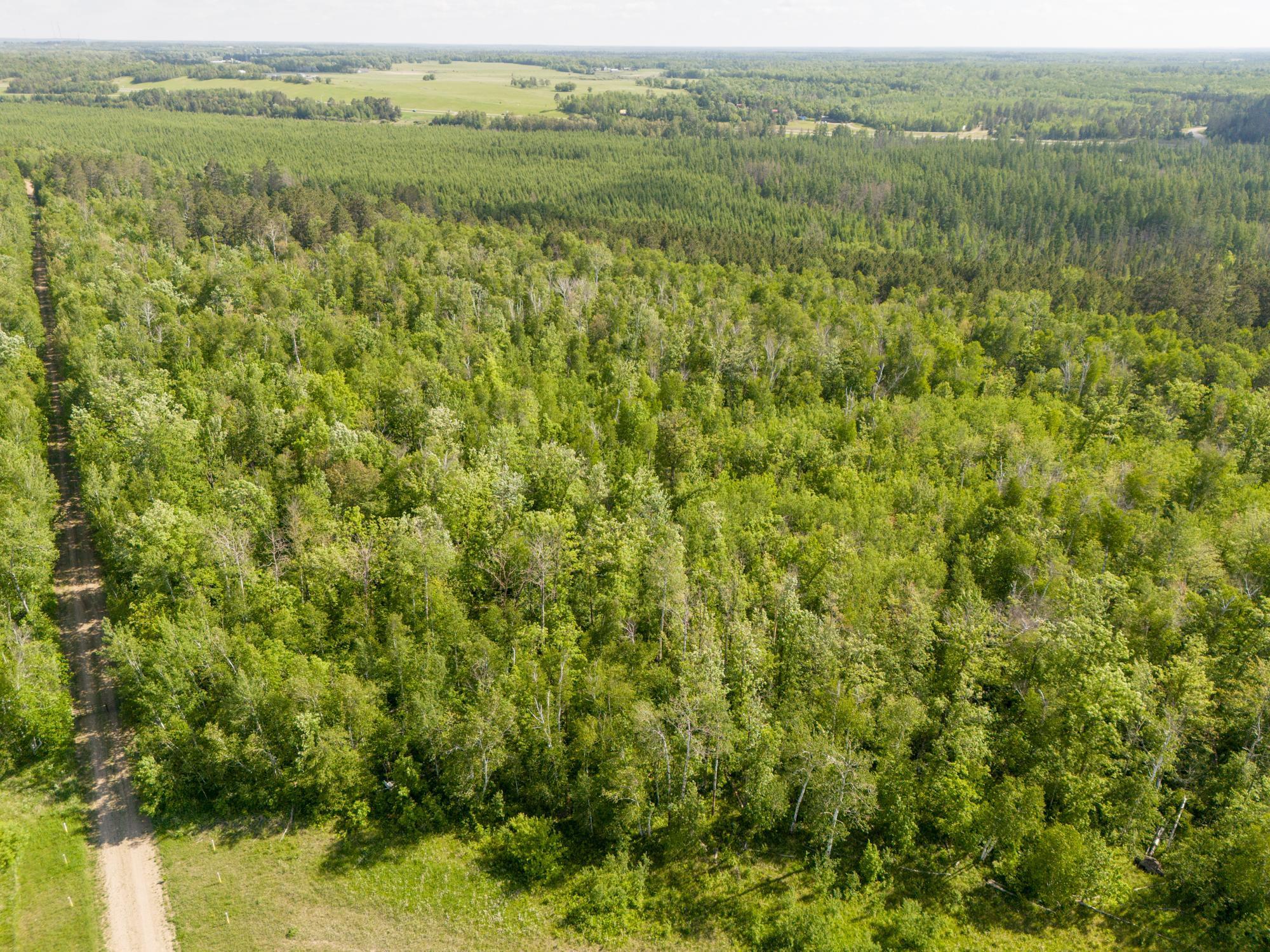 land for sale at TBD N Plantangenet Road SE in Bemidji, MN (photo 12 of 35)