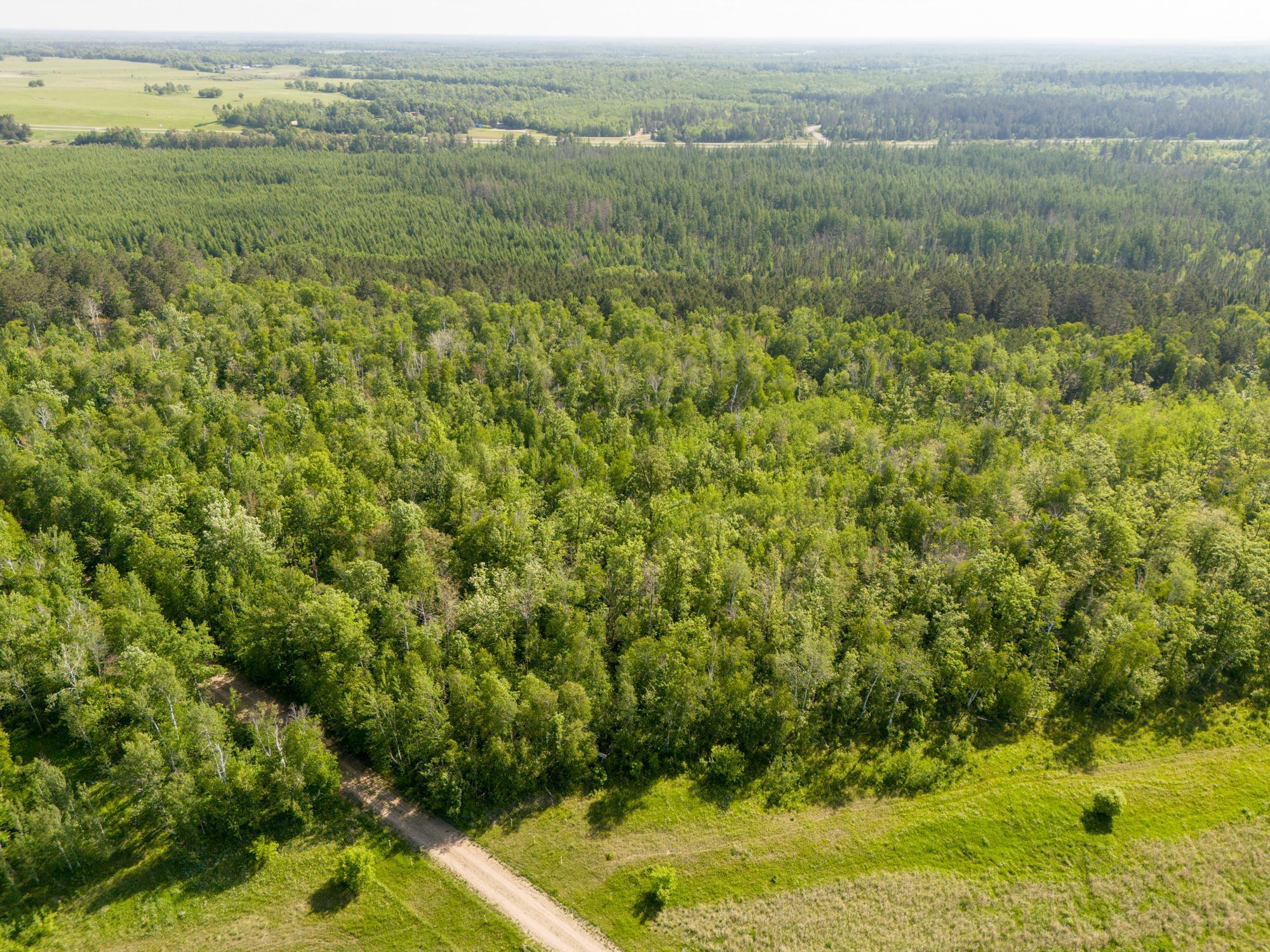 land for sale at TBD N Plantangenet Road SE in Bemidji, MN (photo 13 of 35)