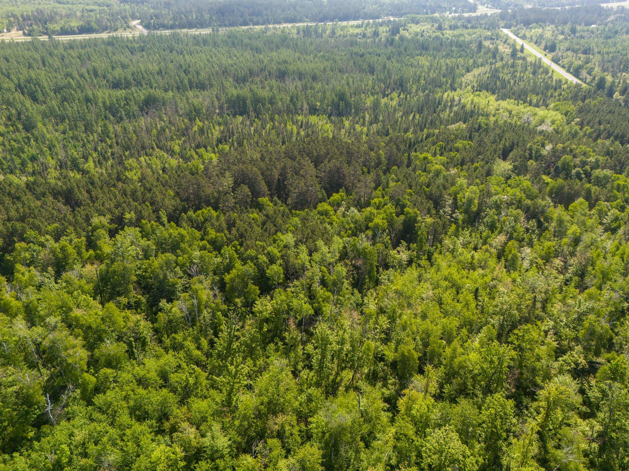 land for sale at TBD N Plantangenet Road SE in Bemidji, MN (photo 14 of 35)