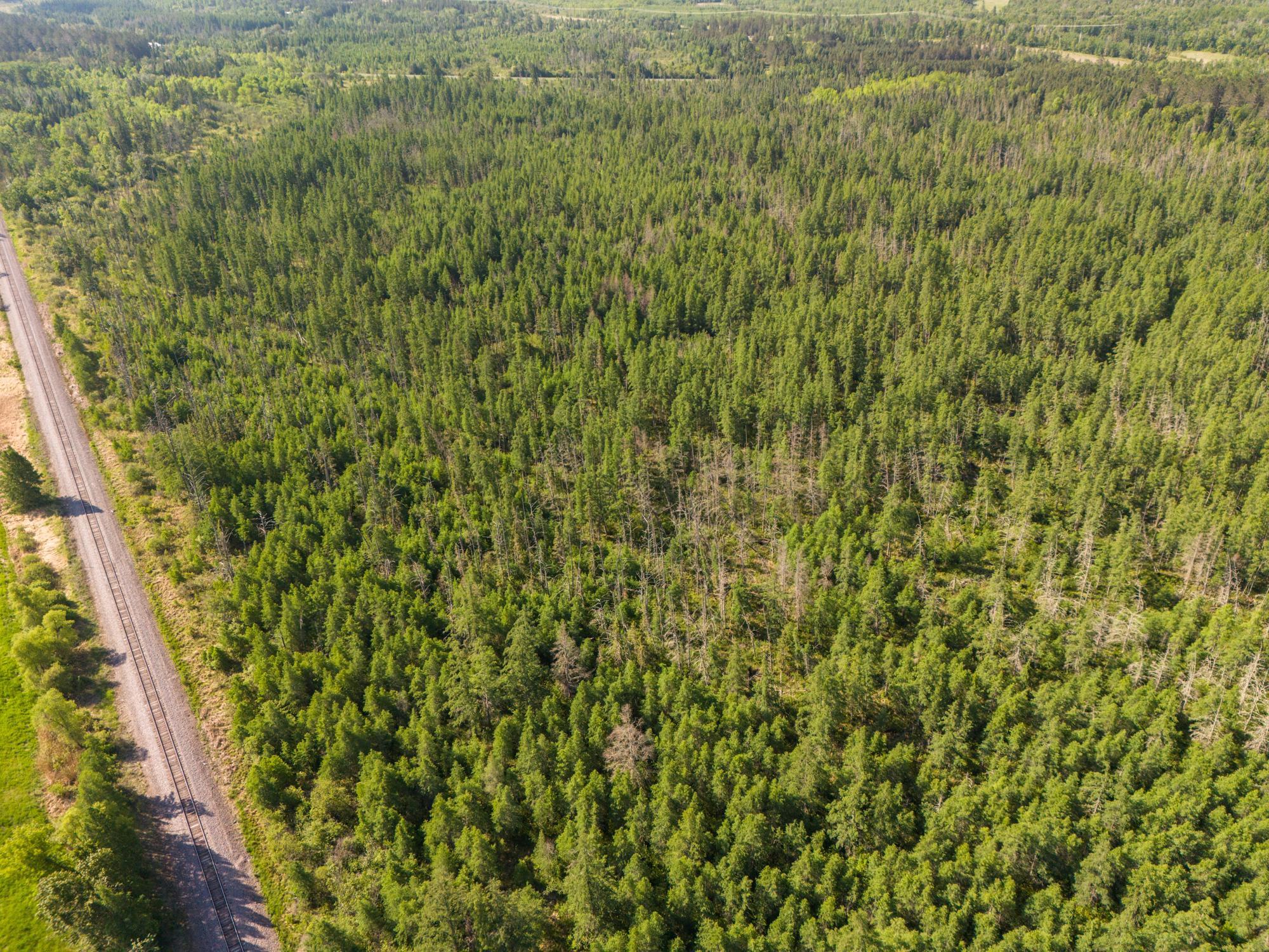 land for sale at TBD N Plantangenet Road SE in Bemidji, MN (photo 15 of 35)