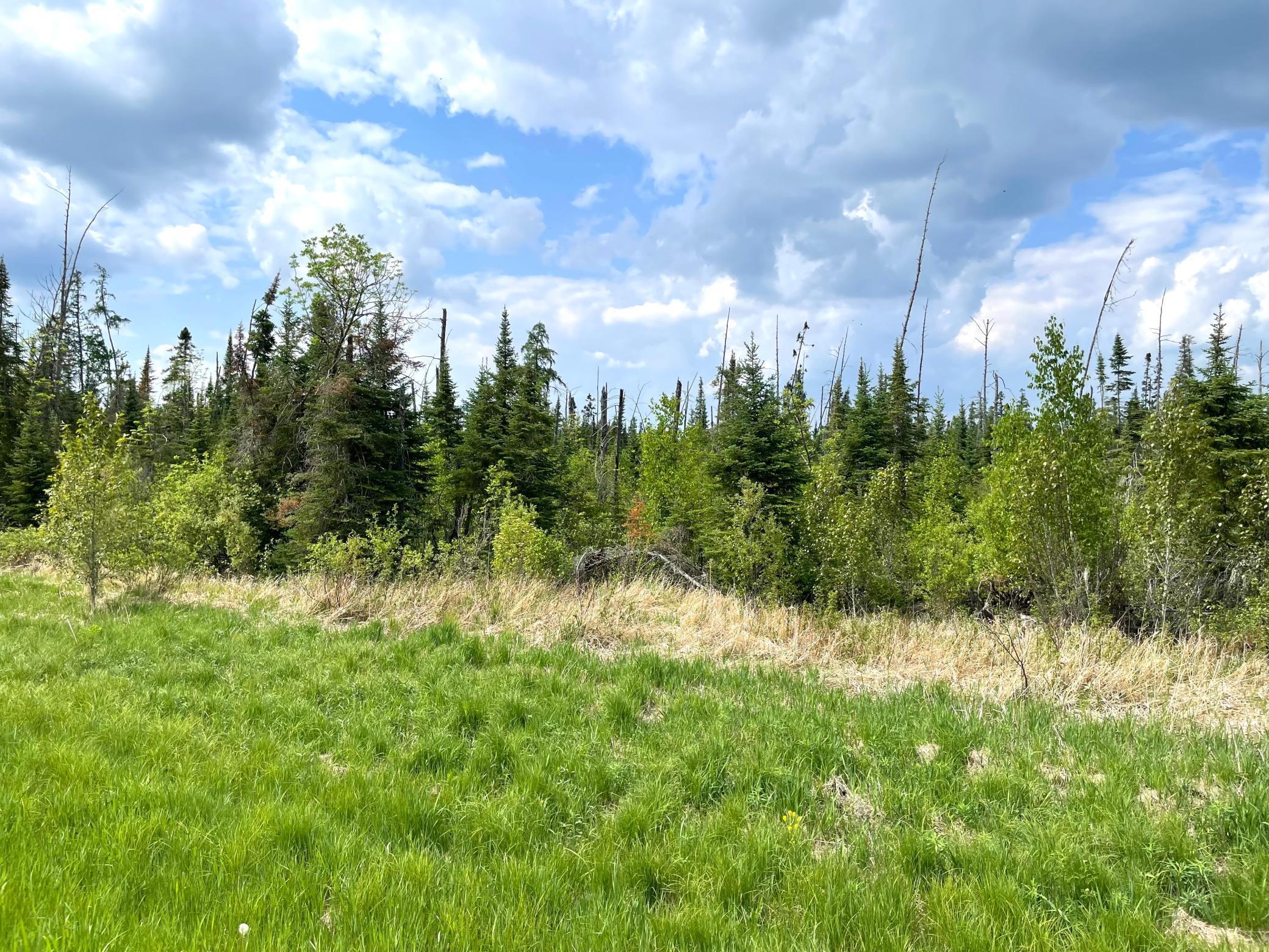 land for sale at TBD N Plantangenet Road SE in Bemidji, MN (photo 3 of 35)
