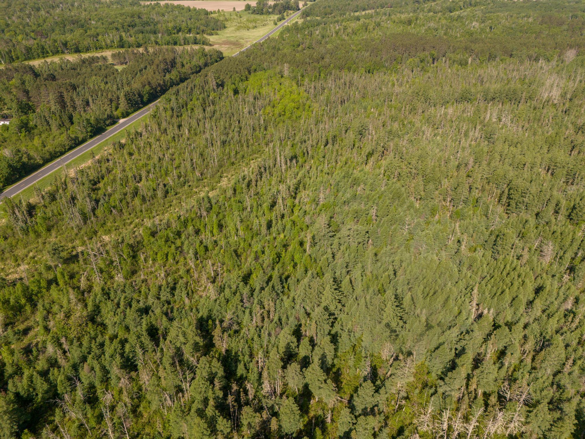 land for sale at TBD N Plantangenet Road SE in Bemidji, MN (photo 22 of 35)
