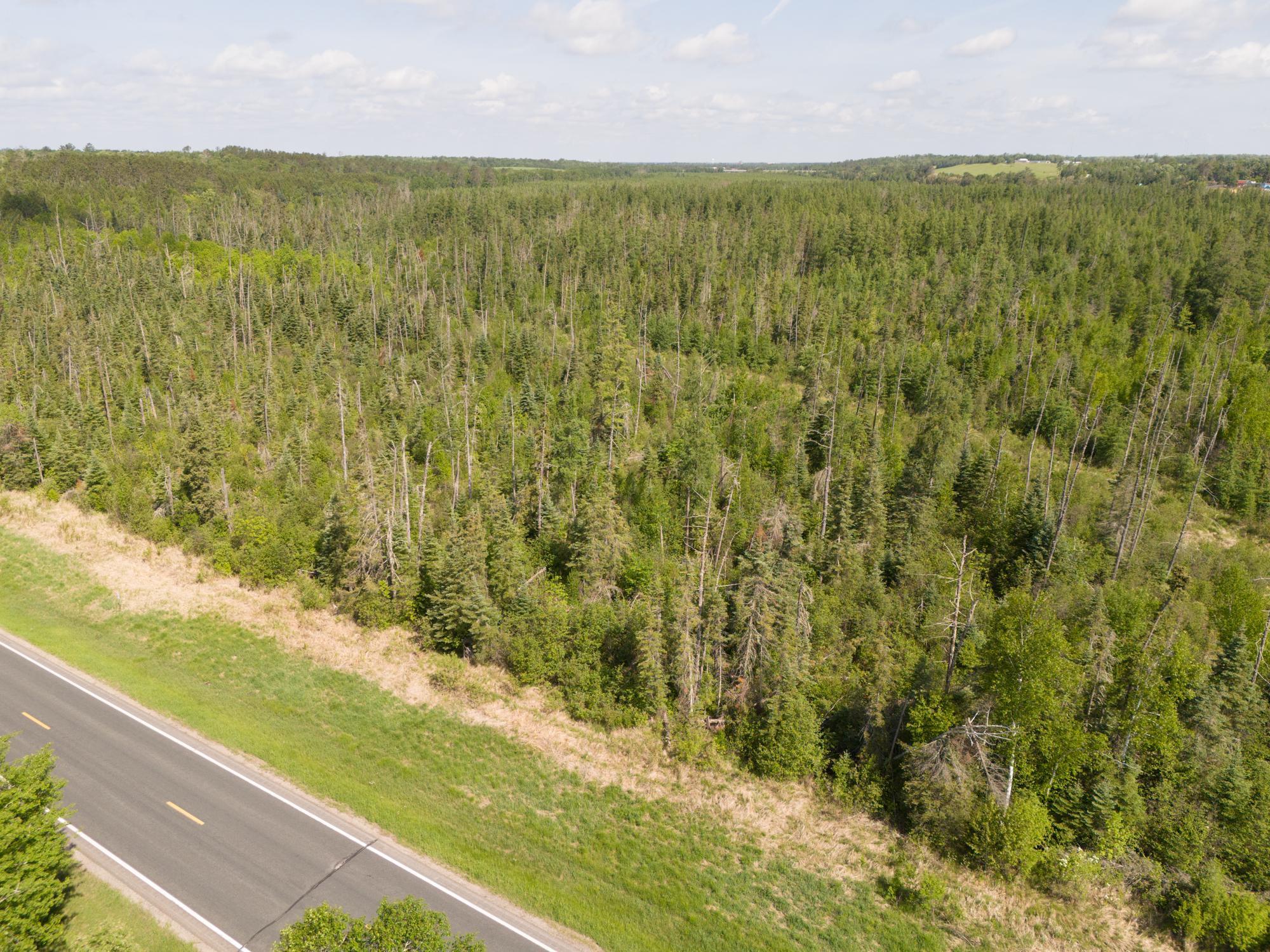 land for sale at TBD N Plantangenet Road SE in Bemidji, MN (photo 24 of 35)