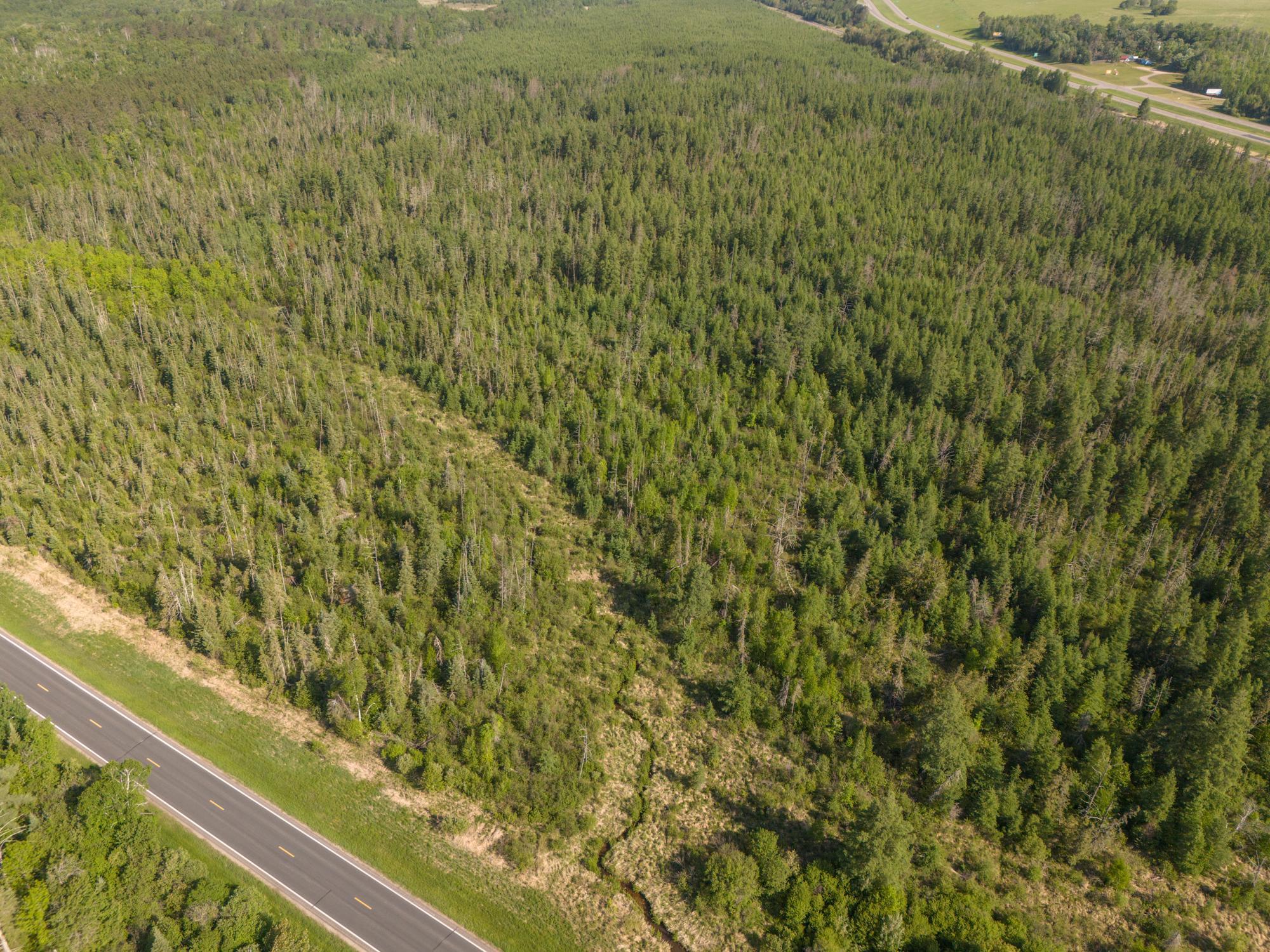 land for sale at TBD N Plantangenet Road SE in Bemidji, MN (photo 26 of 35)