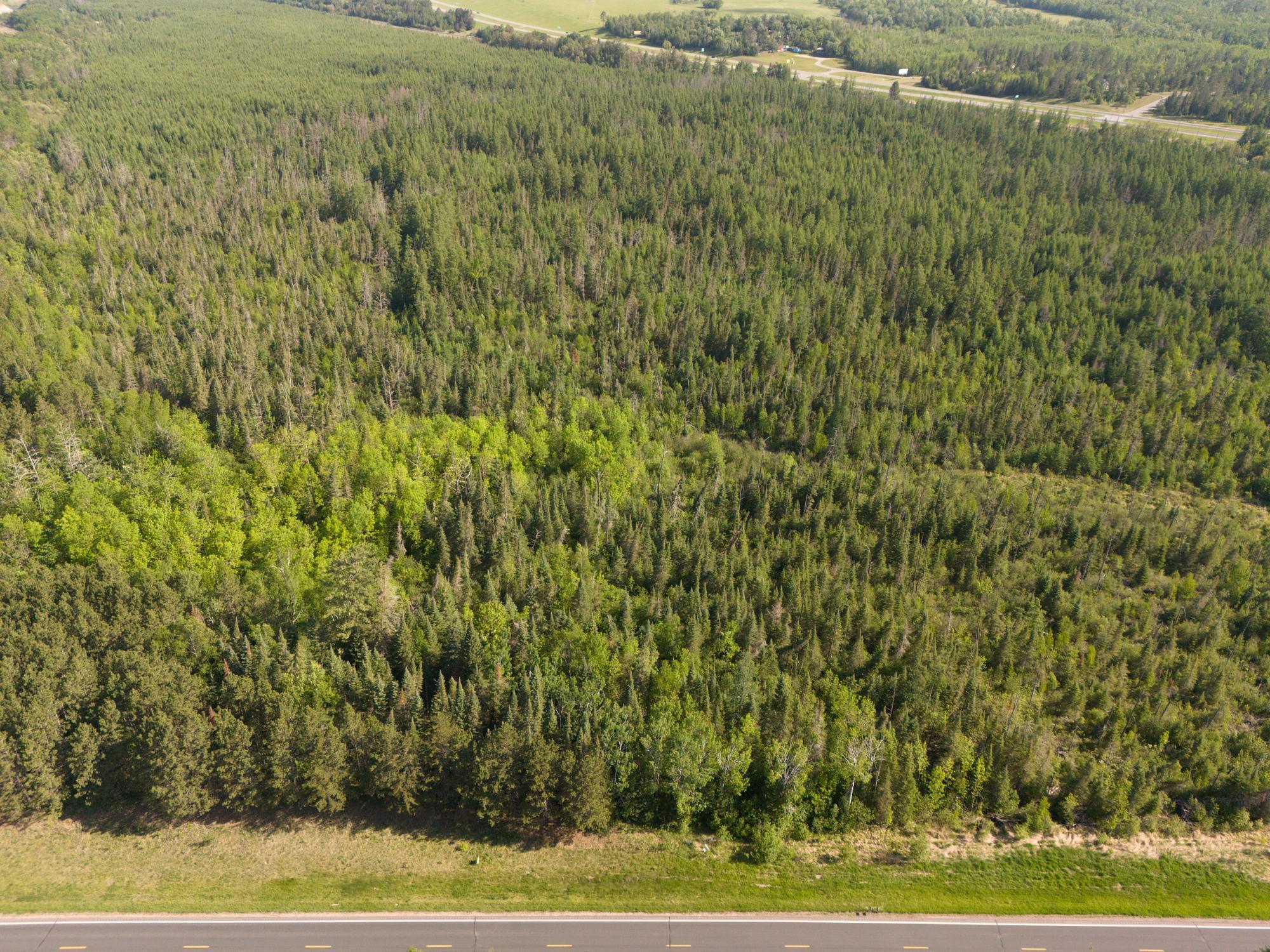 land for sale at TBD N Plantangenet Road SE in Bemidji, MN (photo 27 of 35)