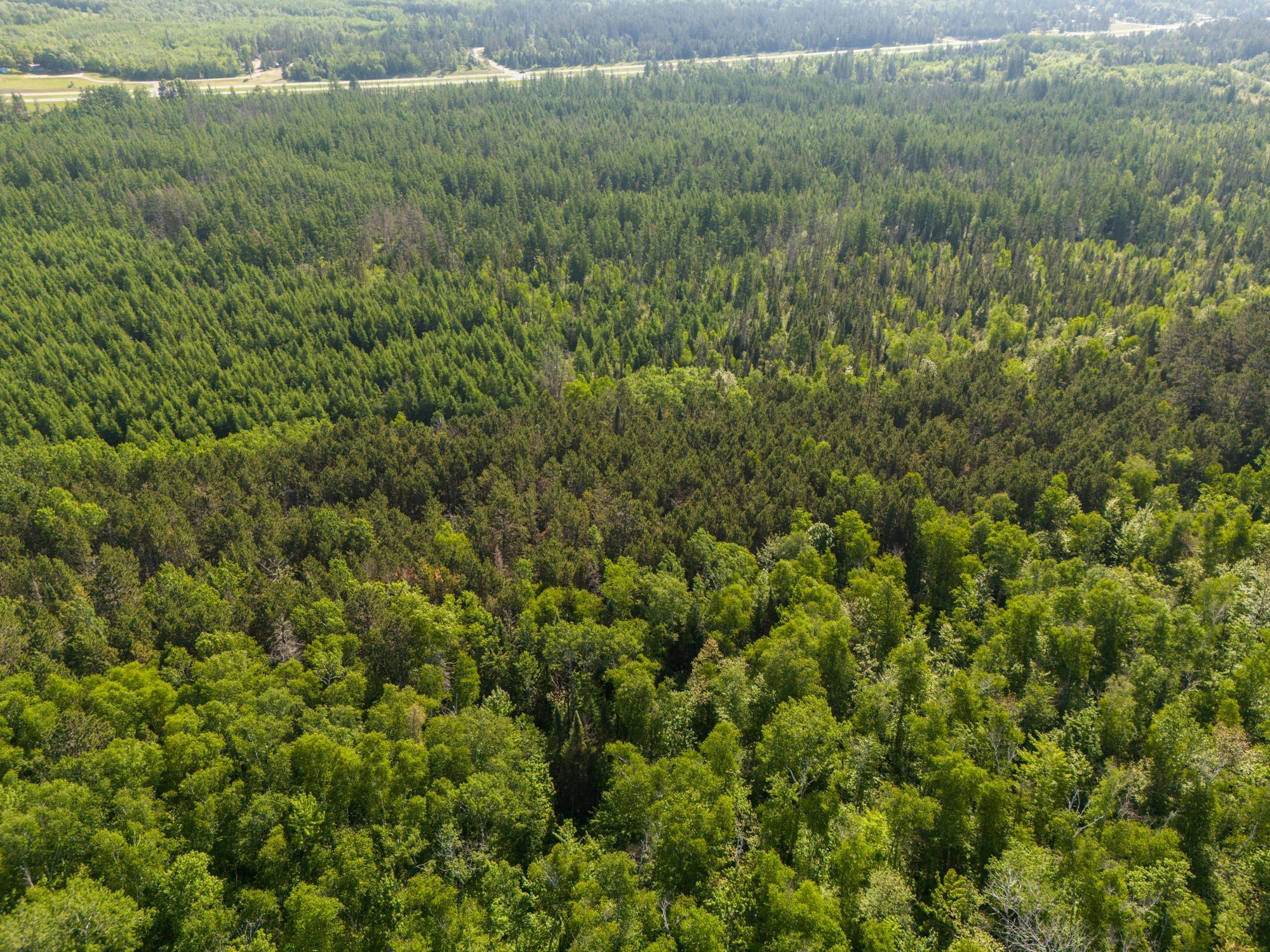 land for sale at TBD N Plantangenet Road SE in Bemidji, MN (photo 28 of 35)