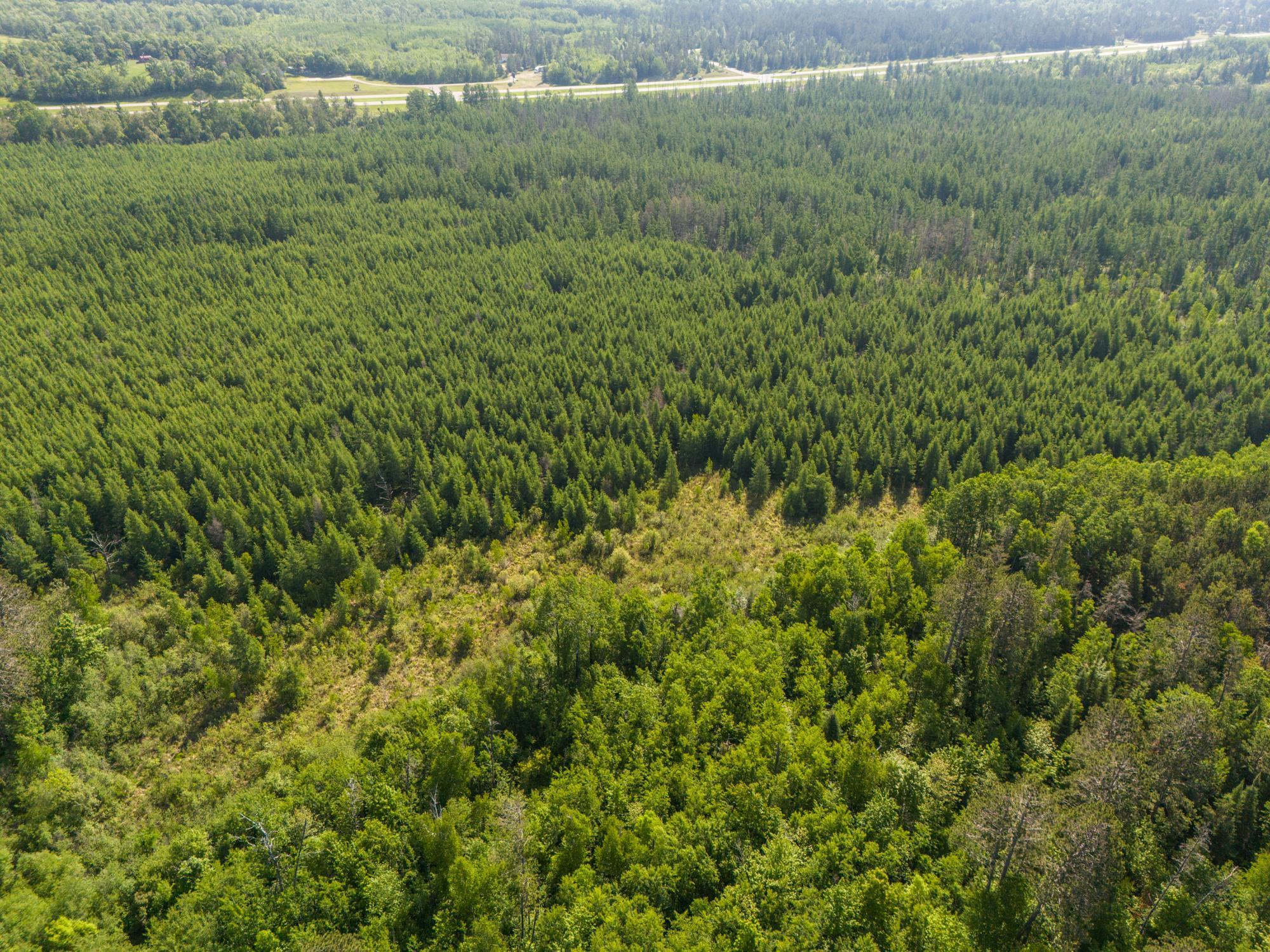 land for sale at TBD N Plantangenet Road SE in Bemidji, MN (photo 29 of 35)