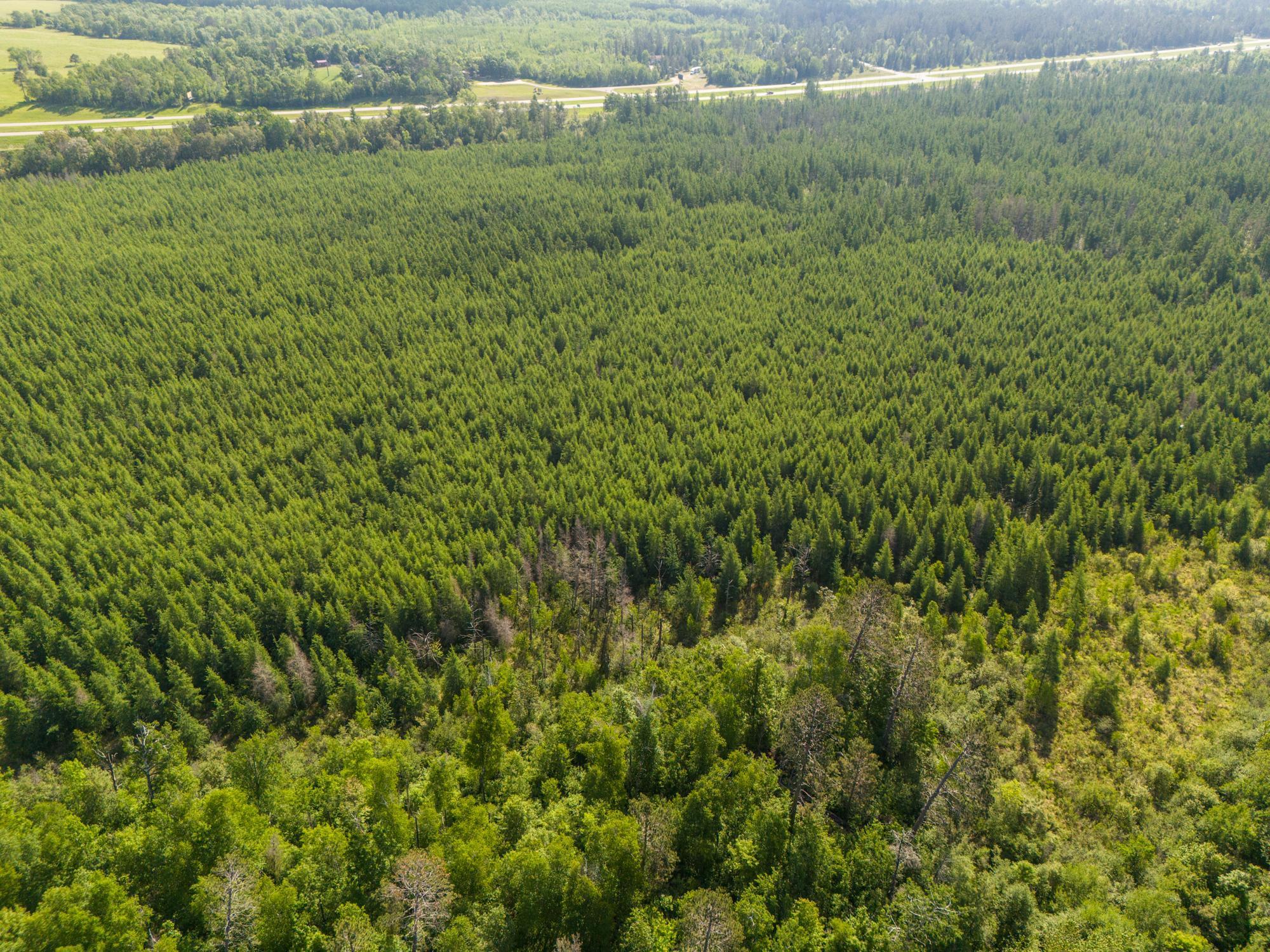 land for sale at TBD N Plantangenet Road SE in Bemidji, MN (photo 30 of 35)