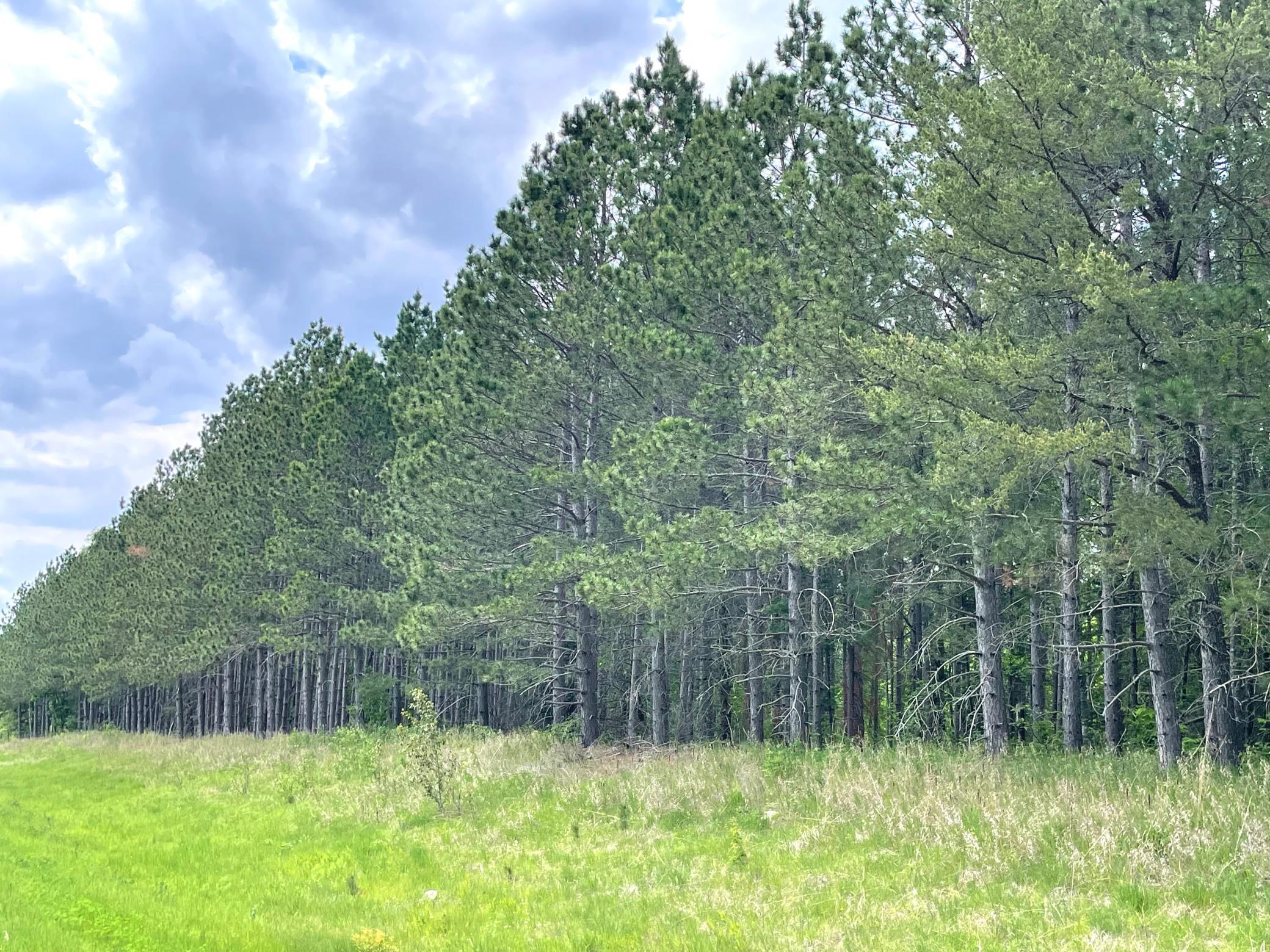 land for sale at TBD N Plantangenet Road SE in Bemidji, MN (photo 4 of 35)