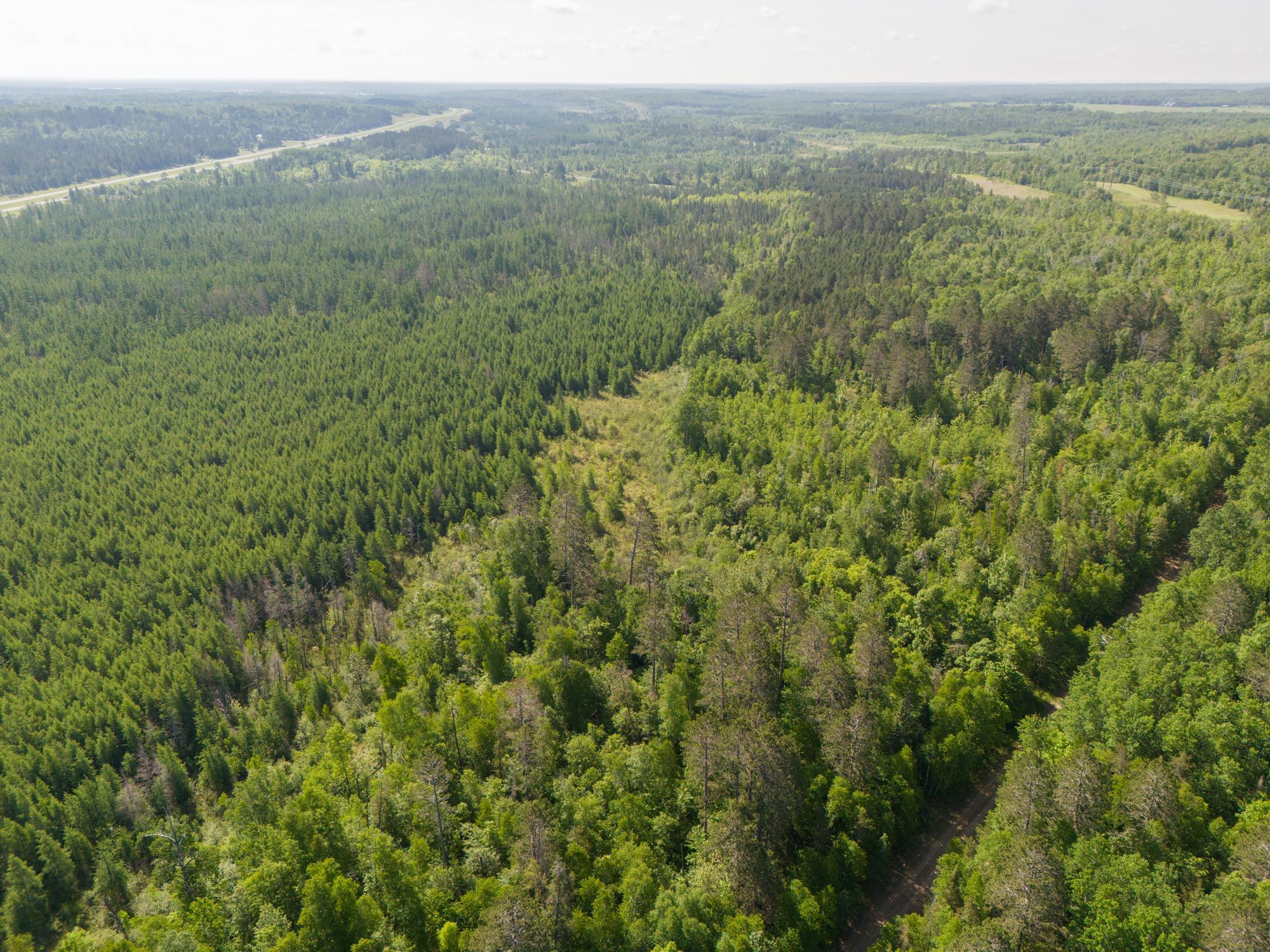land for sale at TBD N Plantangenet Road SE in Bemidji, MN (photo 31 of 35)