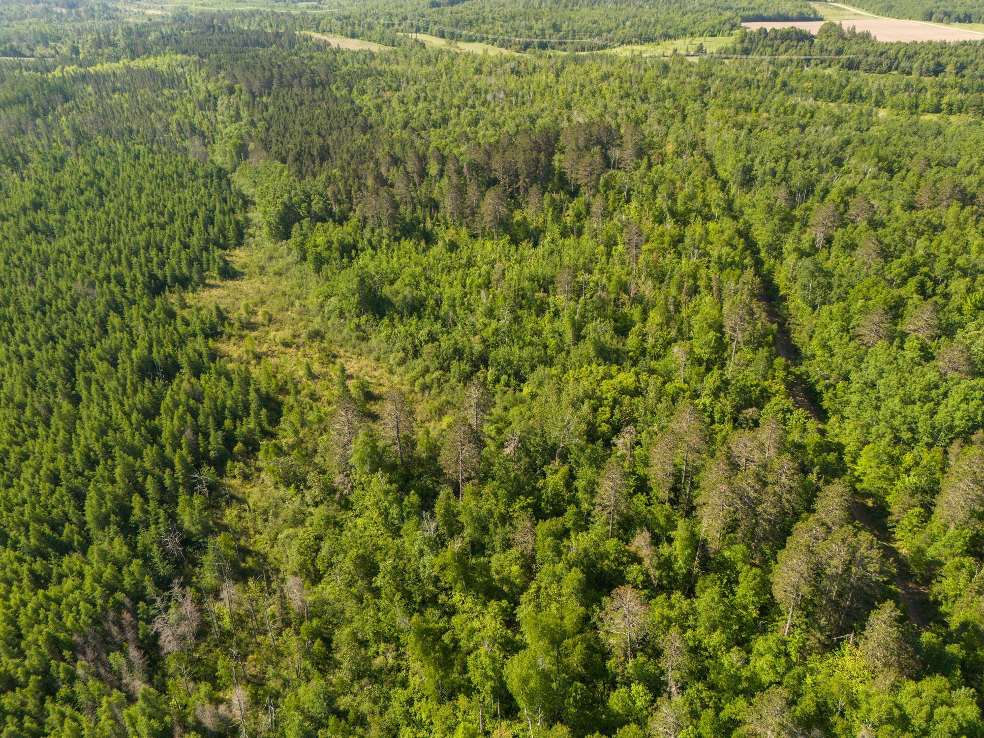 land for sale at TBD N Plantangenet Road SE in Bemidji, MN (photo 32 of 35)