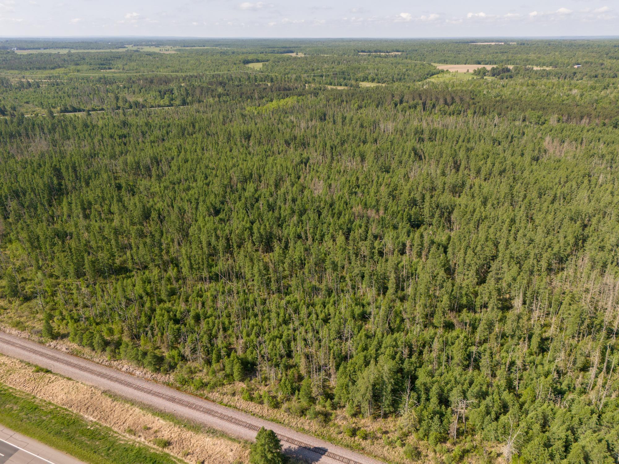 land for sale at TBD N Plantangenet Road SE in Bemidji, MN (photo 35 of 35)