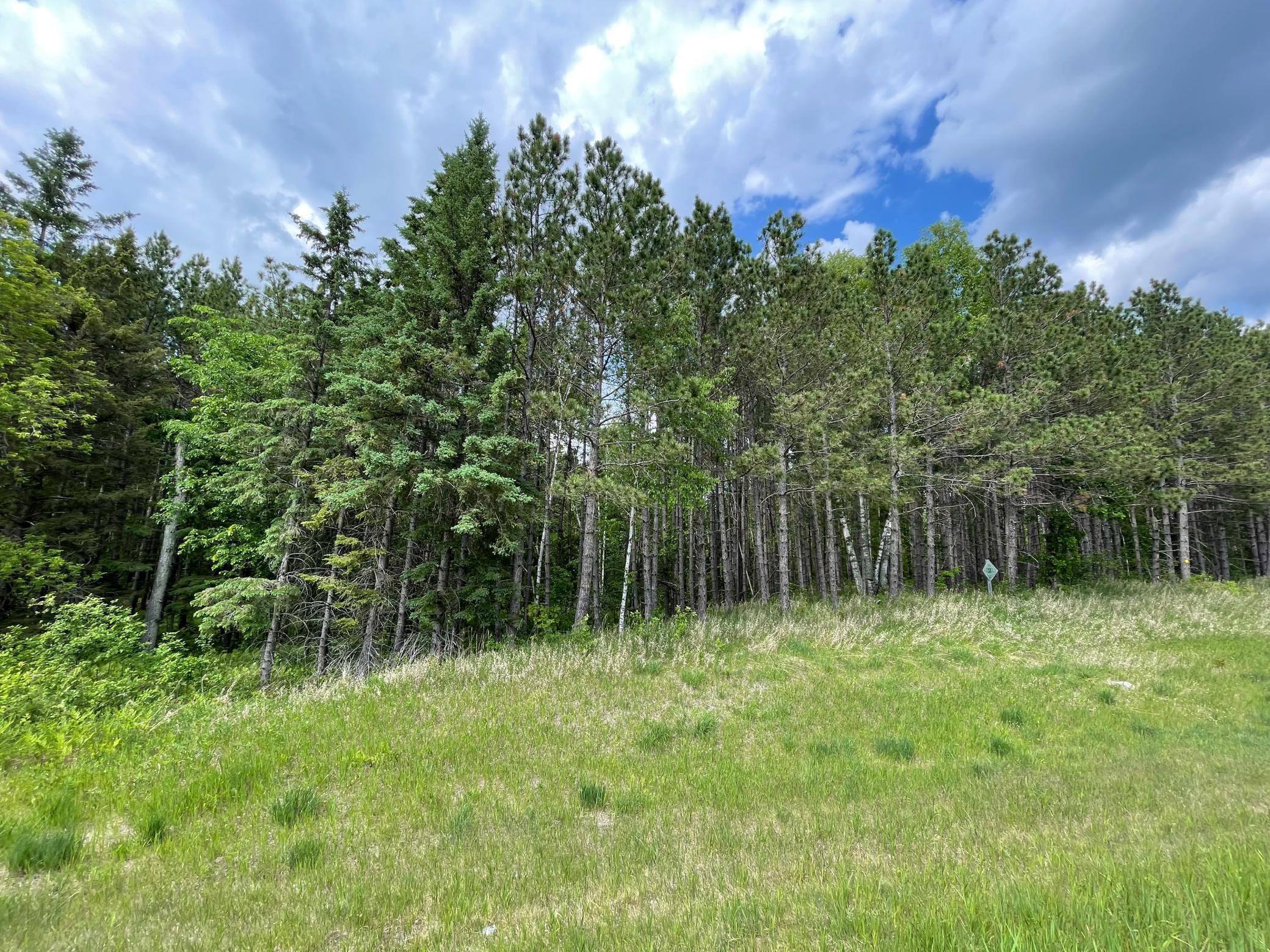 land for sale at TBD N Plantangenet Road SE in Bemidji, MN (photo 5 of 35)
