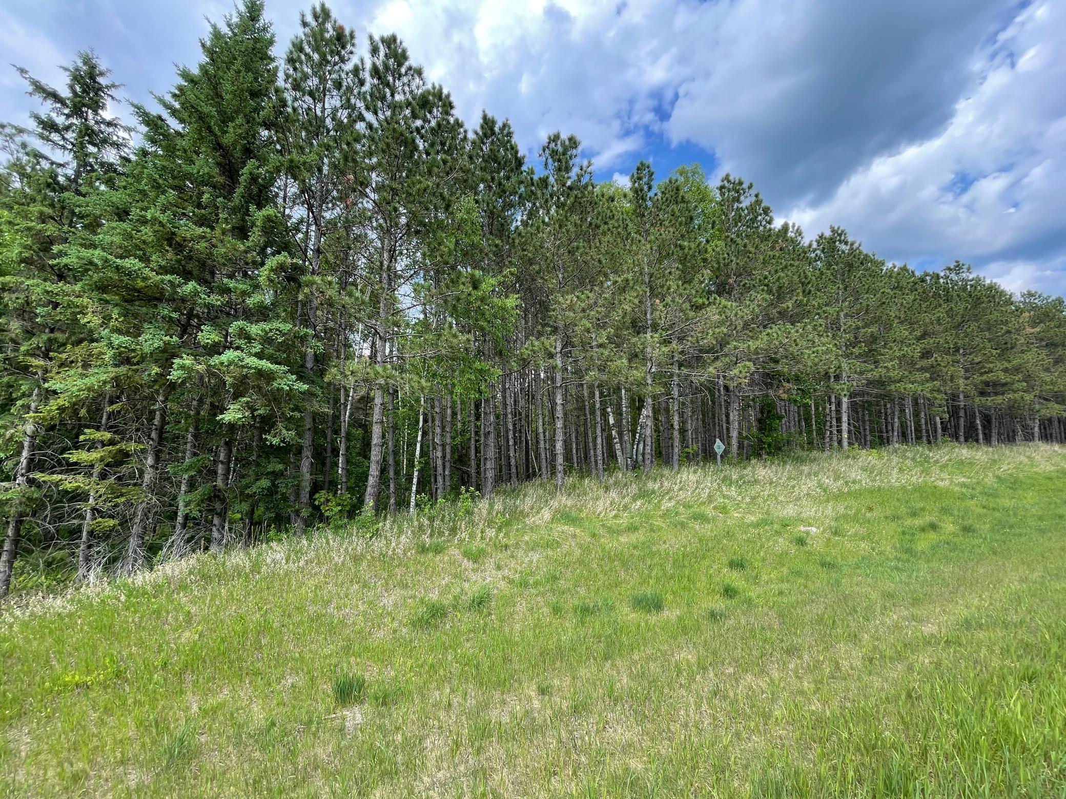 land for sale at TBD N Plantangenet Road SE in Bemidji, MN (photo 6 of 35)