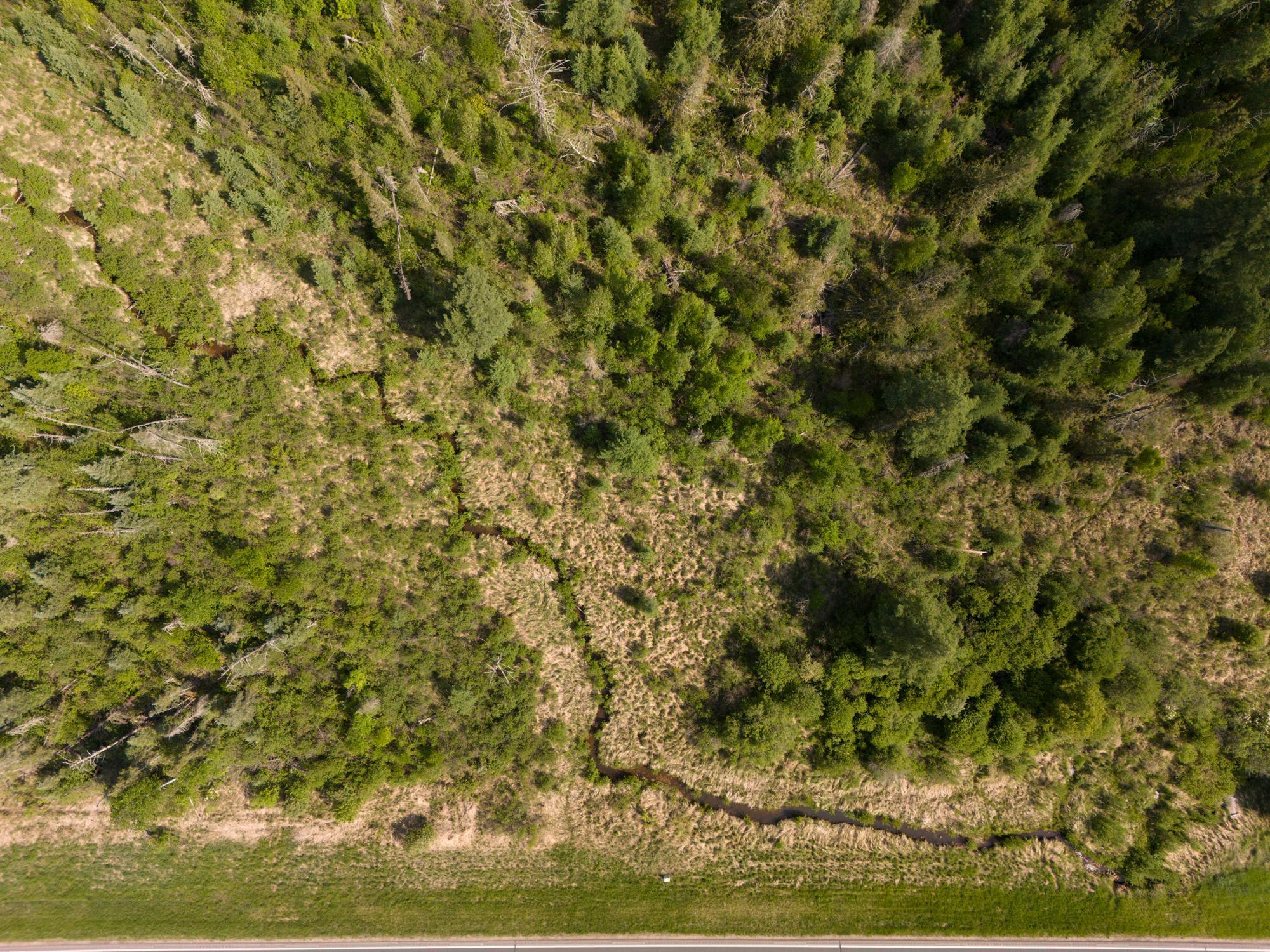 land for sale at TBD N Plantangenet Road SE in Bemidji, MN (photo 10 of 35)