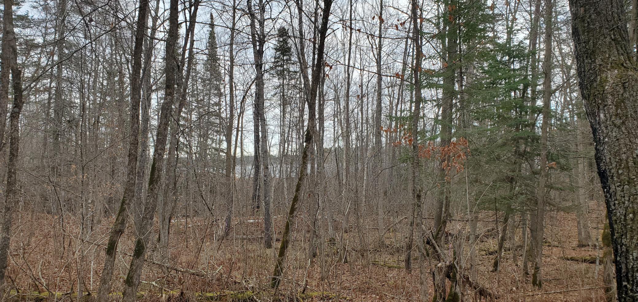 land for sale at TBD - Tract 2 Ticonderoga Trail in Hackensack, MN (photo 5 of 10)
