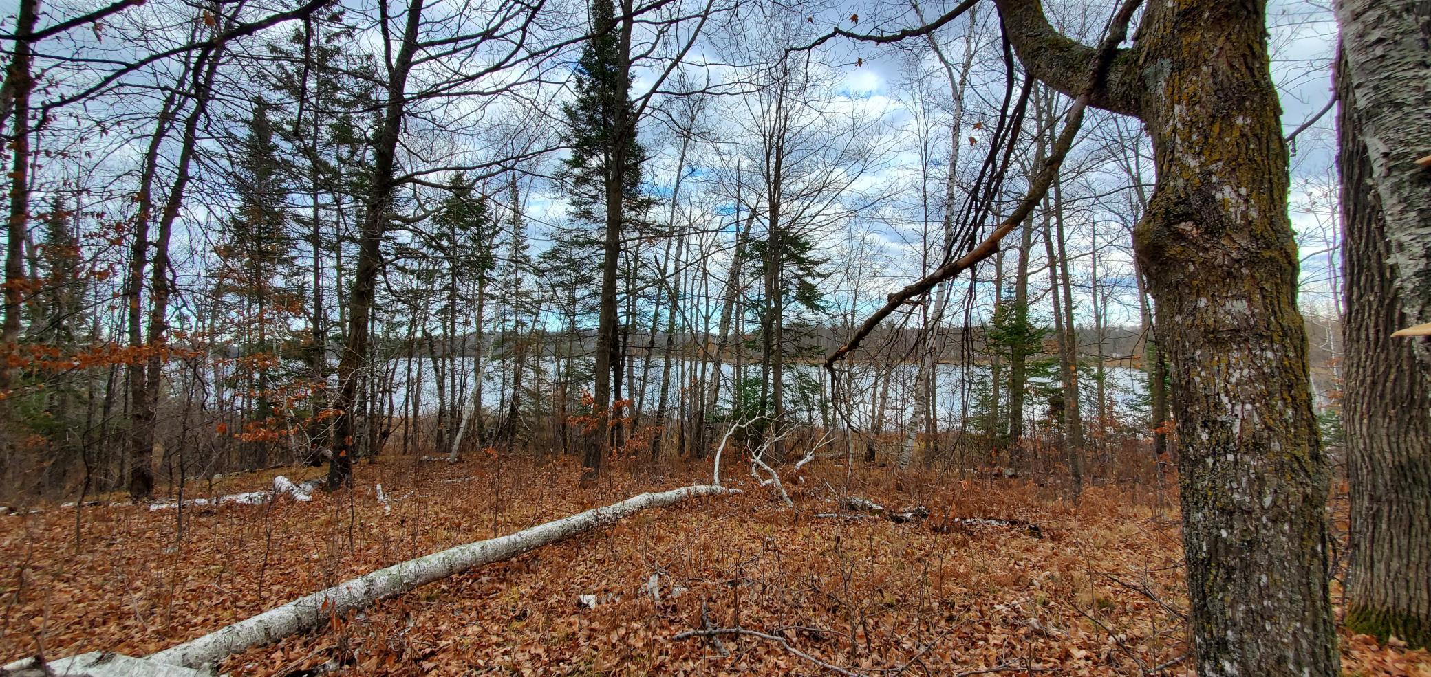 land for sale at TBD - Tract 3 Ticonderoga Trail in Hackensack, MN (photo 4 of 10)