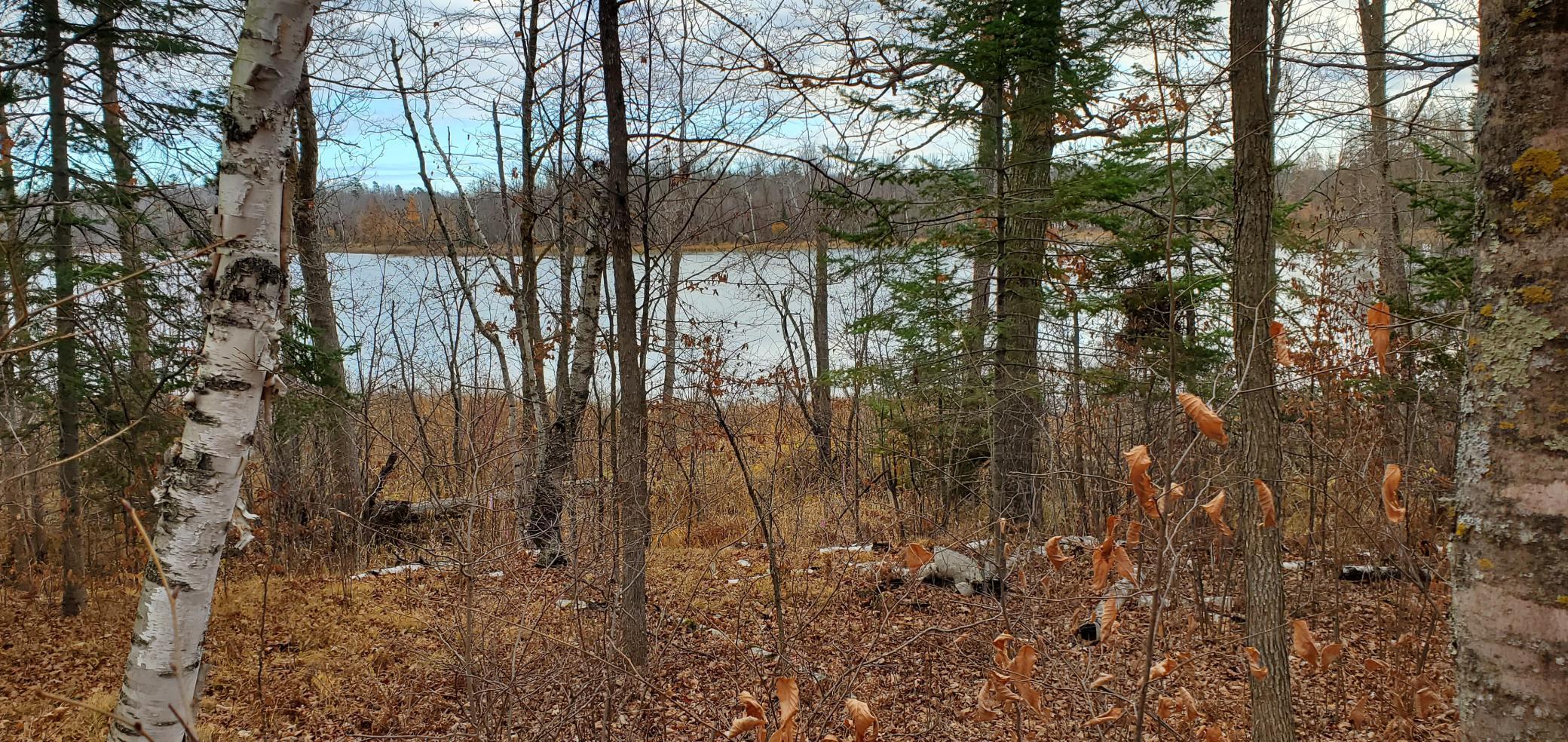 land for sale at TBD - Tract 3 Ticonderoga Trail in Hackensack, MN (photo 7 of 10)