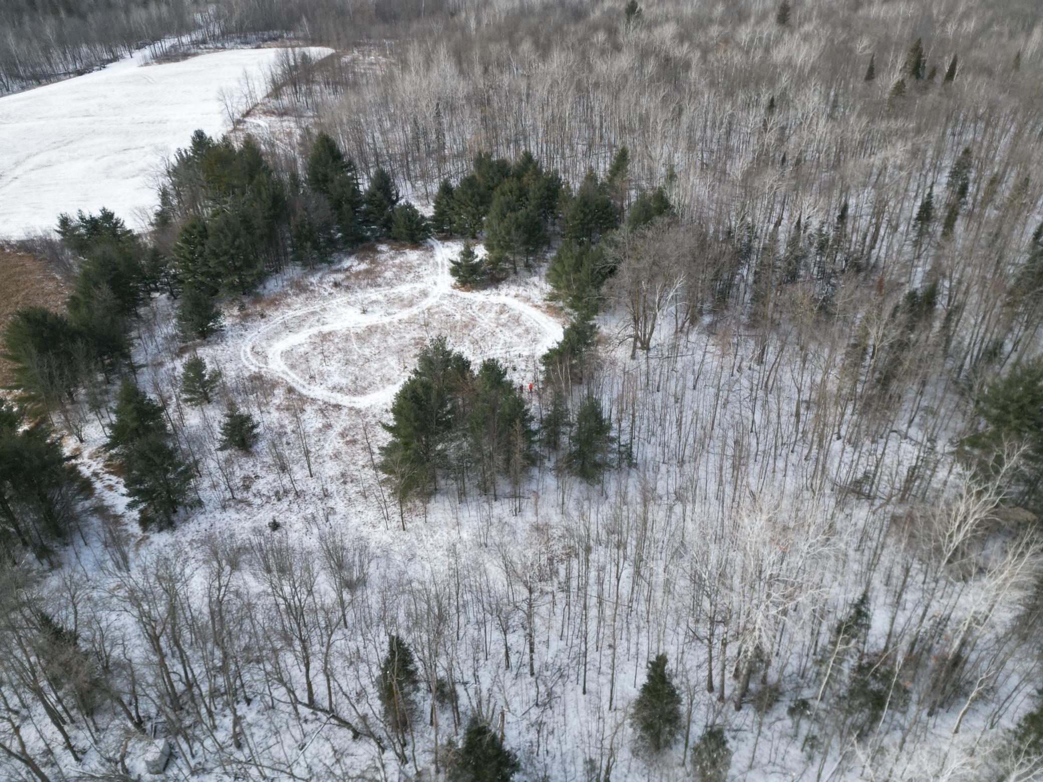 land for sale at TBD - Parcel B Ticonderoga Trail in Hackensack, MN (photo 8 of 10)