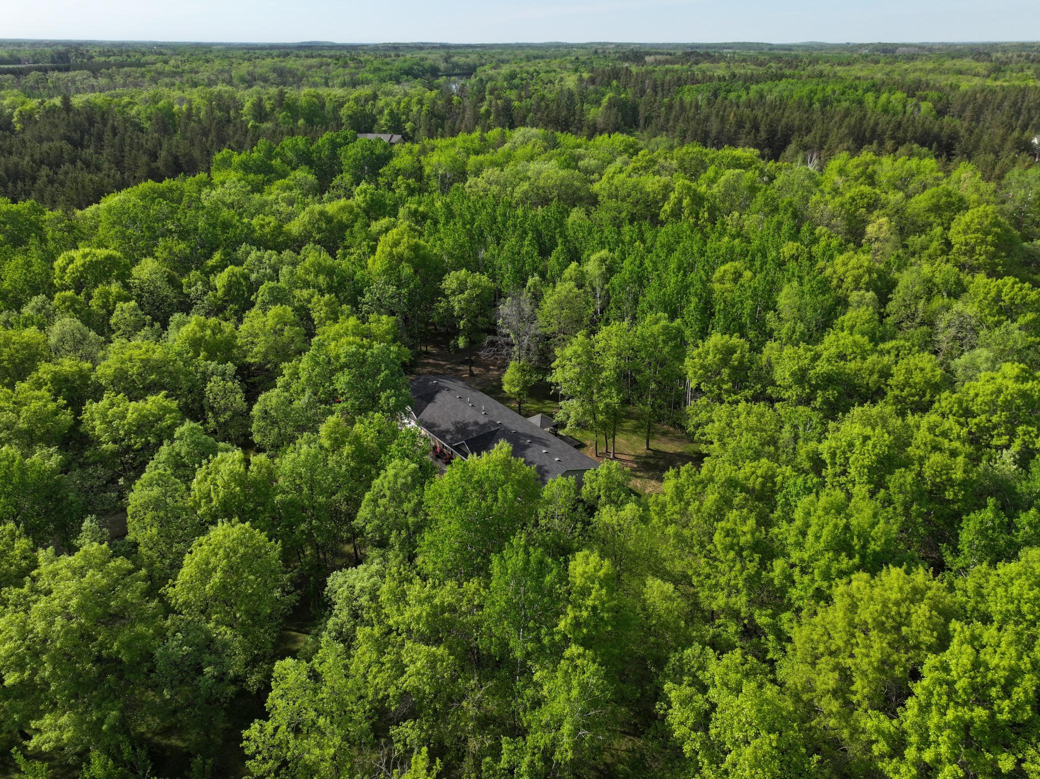 33798 Twin Oaks Trail W, Motley MN 56466 - Photo 4 of 43