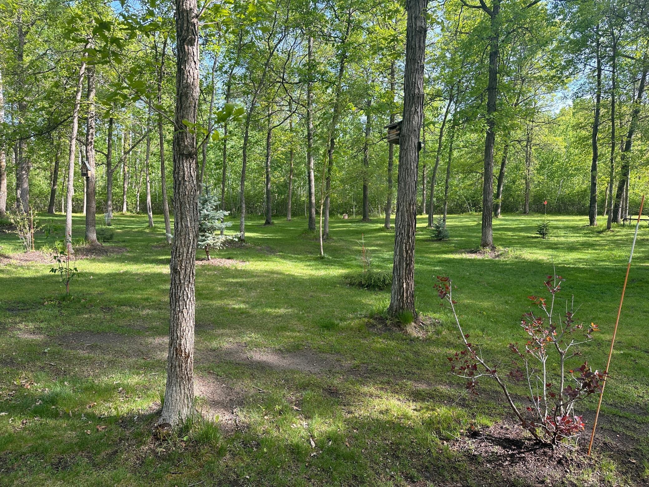 33798 Twin Oaks Trail W, Motley MN 56466 - Photo 37 of 43