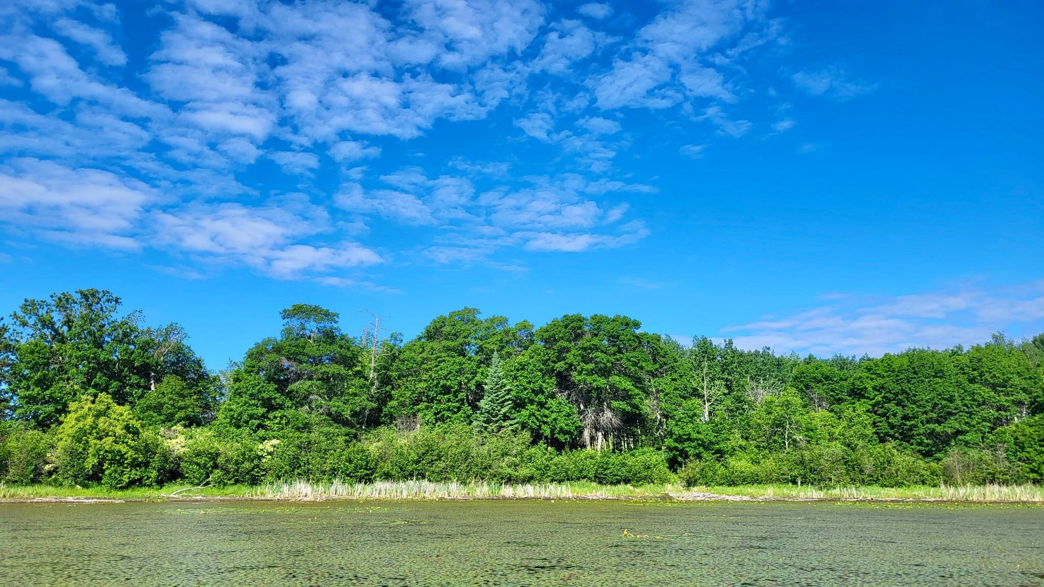 land for sale at TBD Brush Lake Lane in Park Rapids, MN