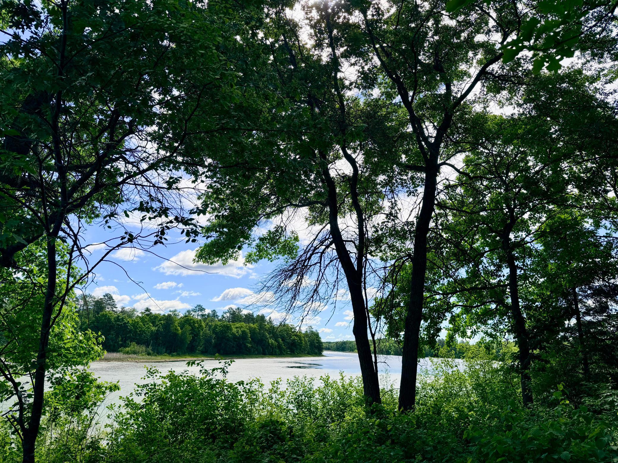 land for sale at TBD Brush Lake Lane in Park Rapids, MN (photo 2 of 13)