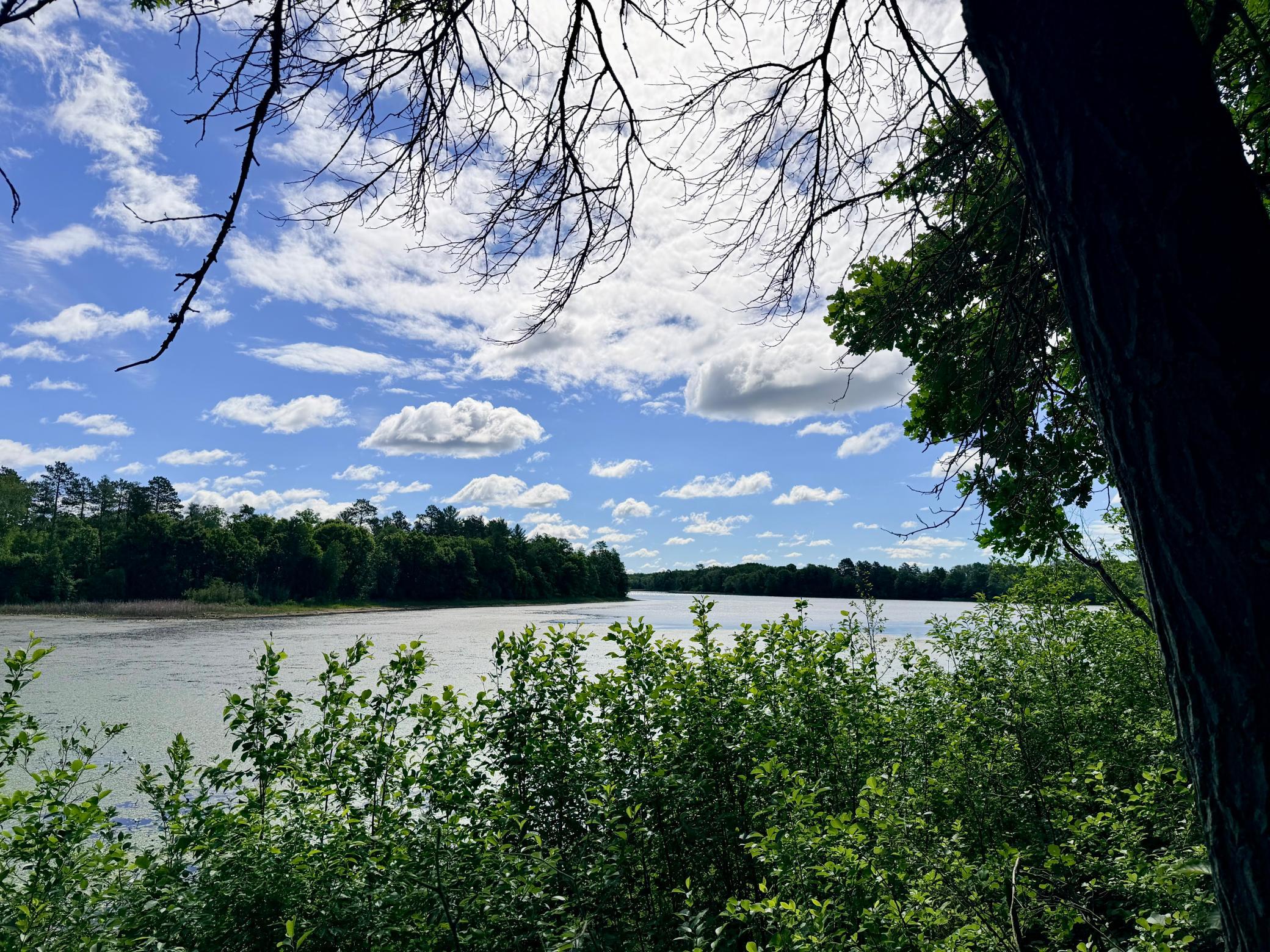 land for sale at TBD Brush Lake Lane in Park Rapids, MN (photo 3 of 13)